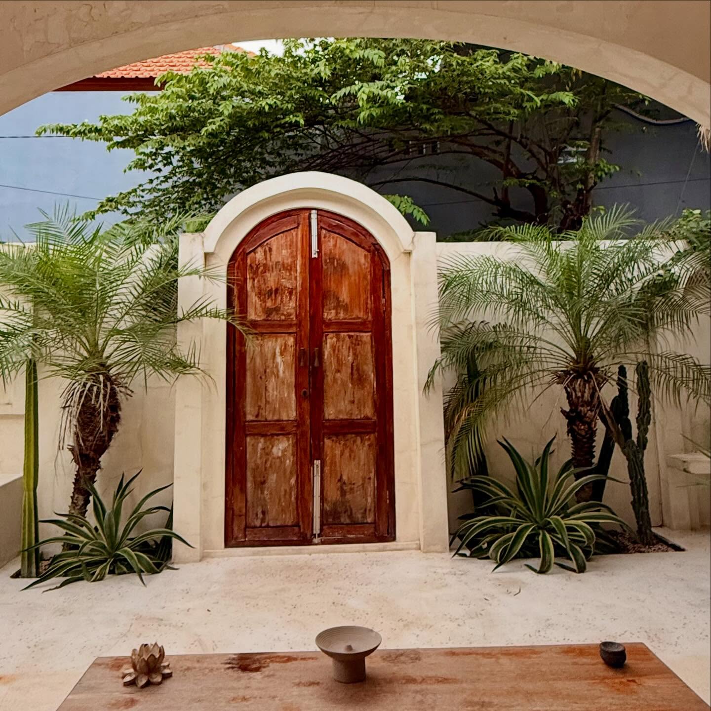 Checked into Villa No. 3 and she said: desert chic but make it tropical.
Arched doors, sculpted walls, and a cactus with more attitude than me before coffee.
Yes, I did sit on that built-in bench like a linen-clad Roman empress.
No, I have not unpacked. But the villa matches my water bottle so I live here now.
✨ #WhereTheTuk #VillaHopper #CangguCore #PinterestButMakeItBali #StillSoloStillThriving