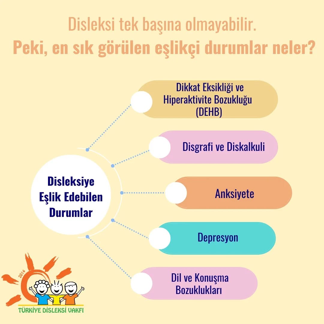 Disleksi, çoğu zaman tek başına görülmez.
Bu eşlikçi durumları bilmek, erken tanı ve doğru destek için çok önemlidir.