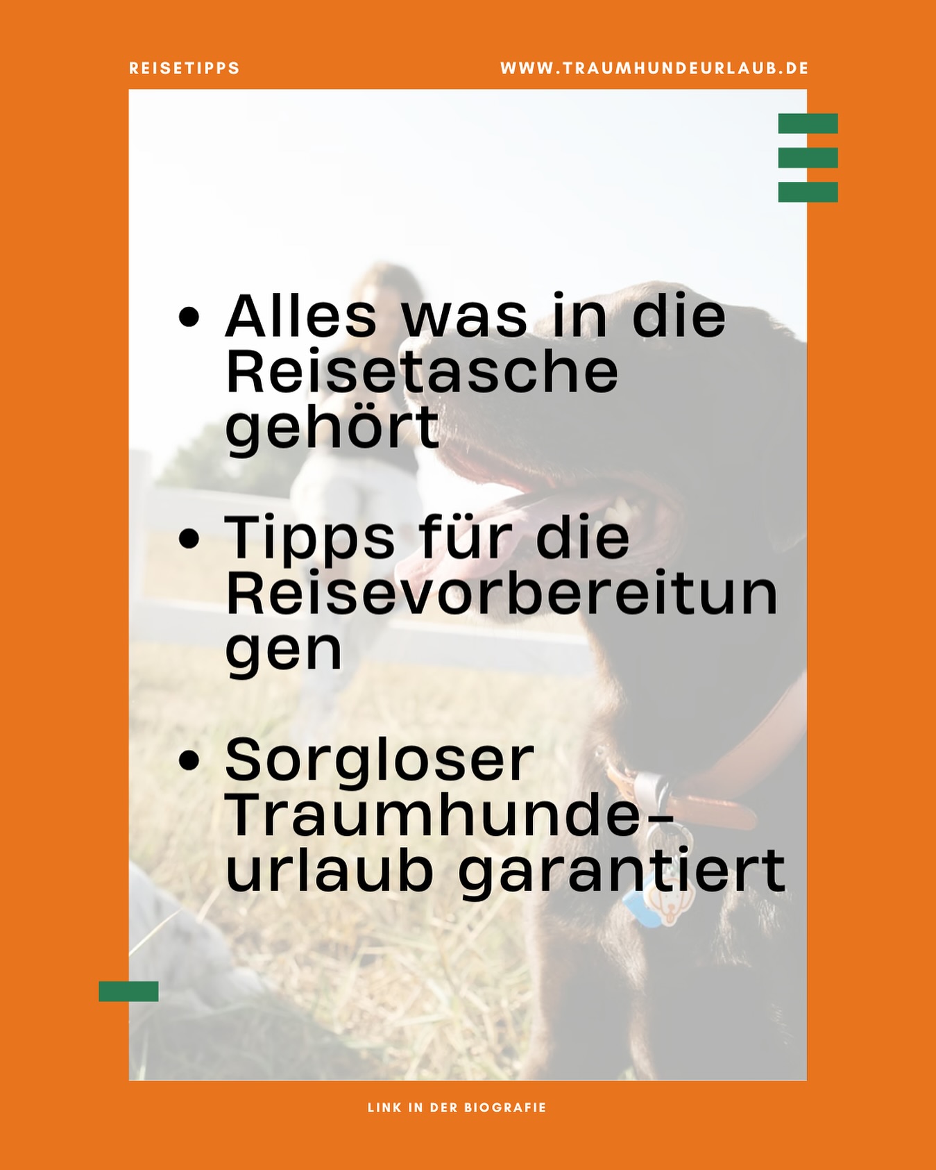 🐾 Urlaub mit Hund geplant?
Dann solltest du beim Packen nichts vergessen! 🎒🐶
In unserem neuen Blogpost findest du die ultimative Packliste für den Hundeurlaub – damit vom Napf bis zur Notfallapotheke alles dabei ist.
👉 Was auf keinen Fall fehlen darf? Der Beitrag verrät’s dir!
📦💡 Link in Bio!
#hundeurlaub #packlistehund #reisenmithund #hundeliebe #urlaubmitvierbeiner #traumhundeurlaub.de #traumhundeurlaub