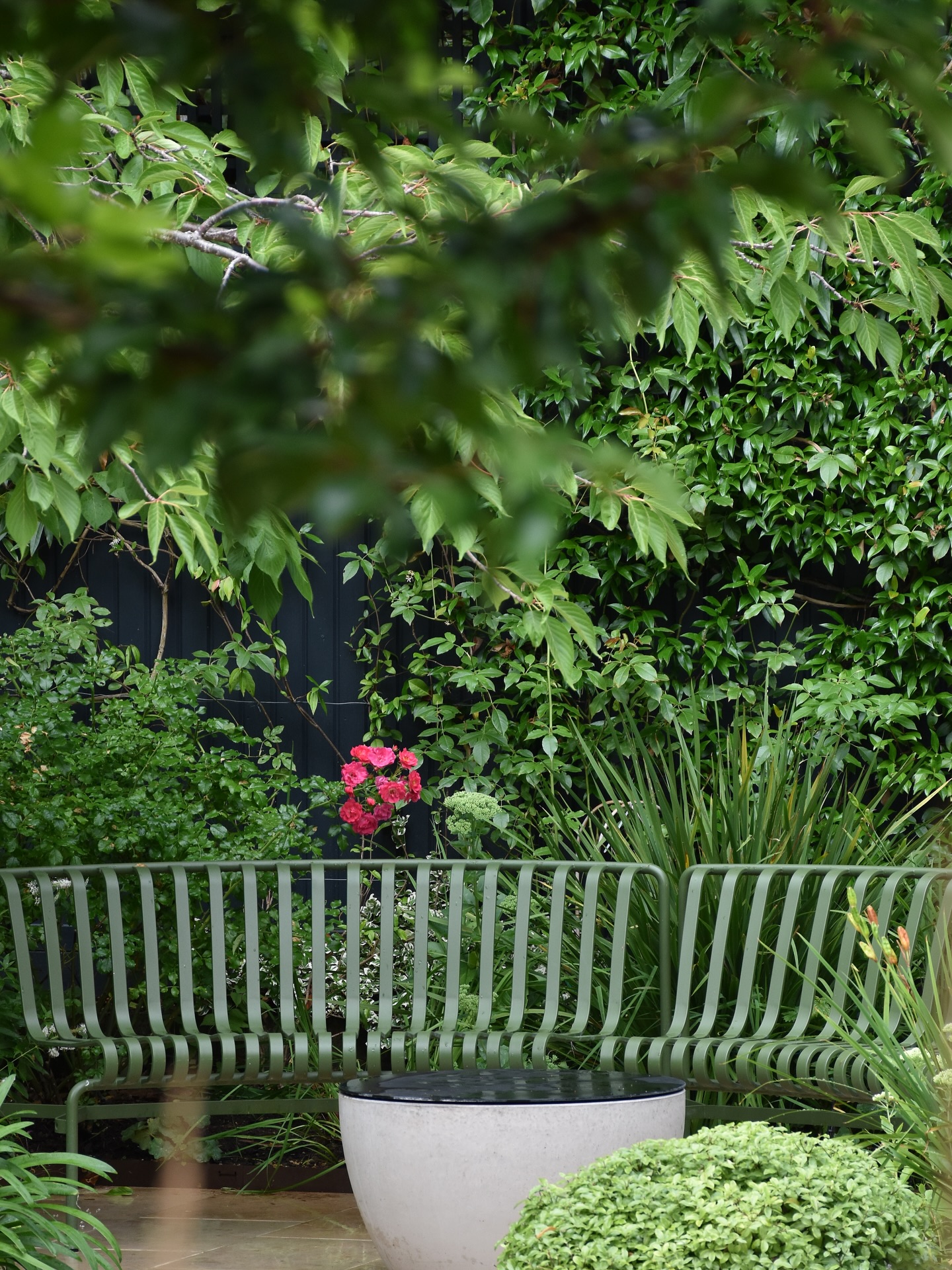 Looking very lush this Summer in Wimbledon 💚🍃
