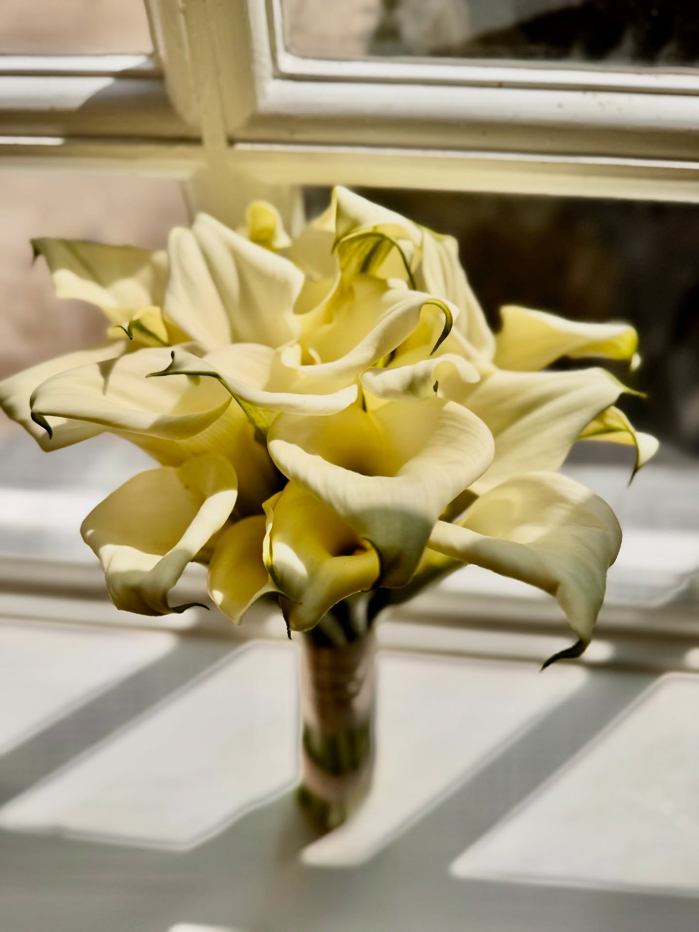 Fashions ebb and flow and weâve noticed the return of the classic calla lily bridal bouquet. This example is our third for summer 2025. Do you like the classic calla lily design or do you prefer a rustic, garden style bouquet?
#totnesflorist #devonflowers