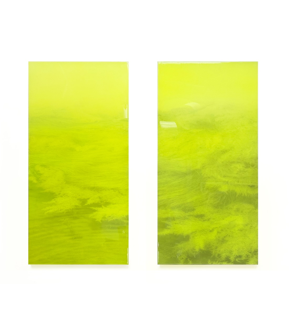 「43.237308, 140.734644_tamamo」
Size:H1000mm ×W495mm,set of two
Mixed media: photograph on washi paper,
with pencil, paint, and resin on woodpanel
43.237308, 140.734644_tamamo layers the graceful reflections of seaweed beneath the water with imagery of seaweed found in the Manyoshu, Japan’s oldest poetry anthology. People of the Nara period must also have perceived beauty in such scenes, composing poems that celebrated nature. Building on this cultural tradition, the work adopts the vertical format characteristic of Japanese painting, linking natural phenomena with cultural memory.
The fluorescent filter symbolizes the radiance of seaweed while also evoking the artificiality and contemporary condition of our own time—distinct from the more sustainable worldview of the past. It reflects not only light but also my present perspective as an artist.
The work reconsiders landscape not as a mere visual phenomenon but as a reflection of cultural memory and identity, embodying my ongoing inquiry into the equation “landscape = identity.” At the same time, it represents the landscape as filtered through my gaze in the present.
《43.237308, 140.734644_tamamo》は、水面下で藻が光を反射する優雅な姿と、万葉集に詠まれた藻のイメージを重ね合わせた作品です。過去に生きた人々もこの光景を美しいと感じたのです。さらに日本絵画特有の縦長の構図を用いることで、自然現象と文化的記憶を結びつけています。この作品は、風景を単なる視覚的現象としてではなく、民族的な記憶やアイデンティティを映し出すものとして捉え直し、「風景=アイデンティティ」の探求として位置づけています。
•
•
•
•
•
#artwork
#art
#contemporaryart
#contemporaryabstract
#artwork #artgallery #artexibition #abstractpainting