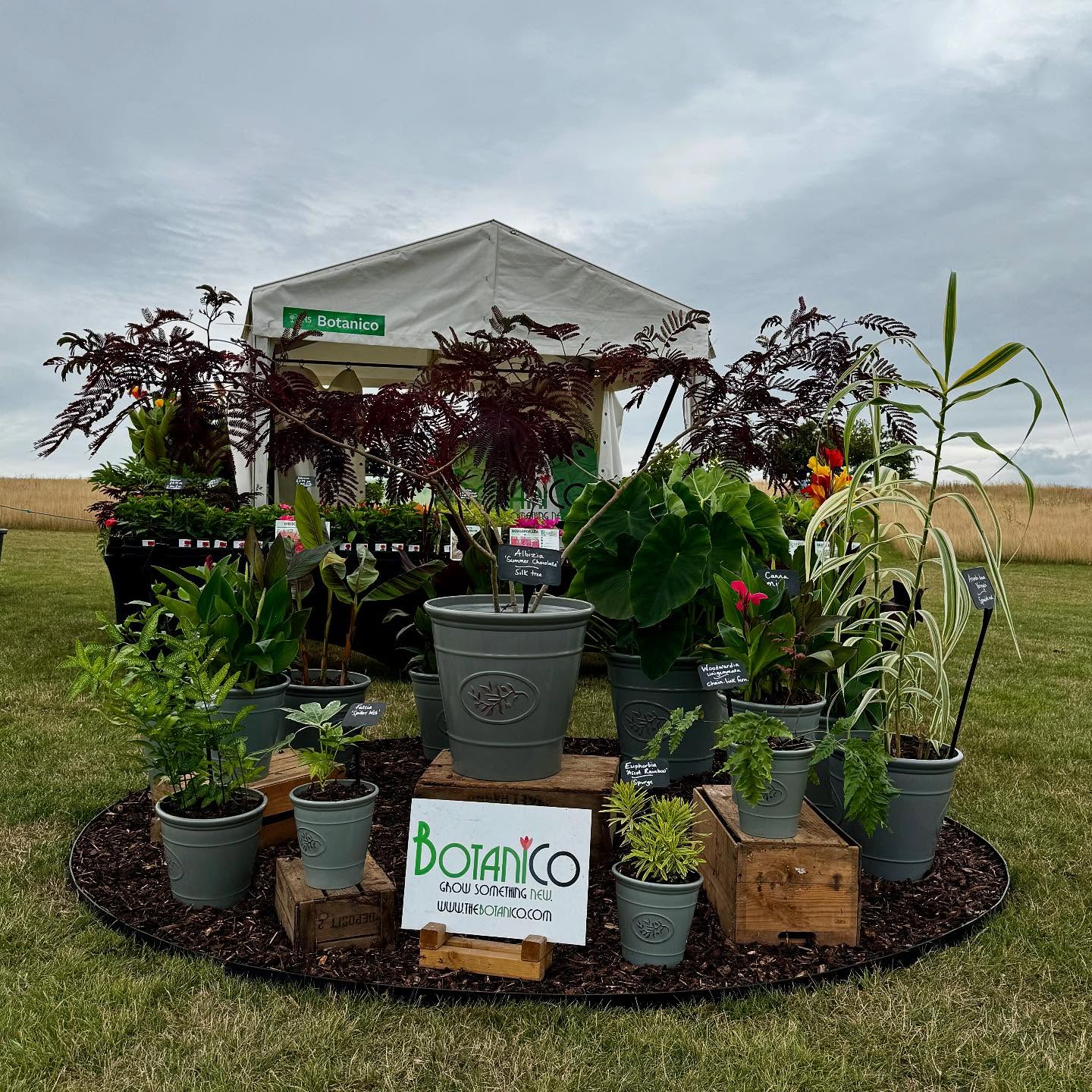 Come see us at stand 22 at #rhshydehall until Sunday! #plantsmakepeoplehappy® #plantsofinstagram