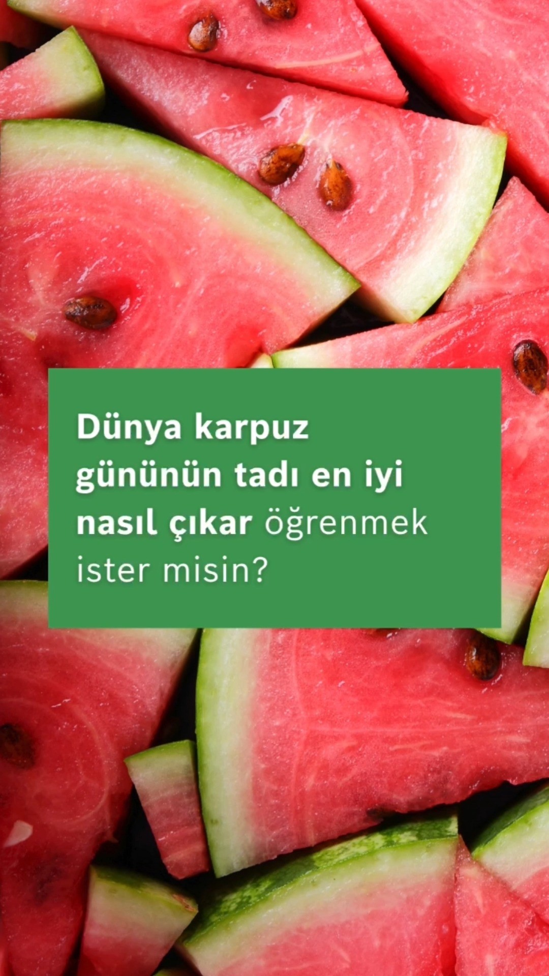 Karpuz Gününün tadını çıkar!
📍 City’s İstanbul AVM
🏢 İçerenköy, Çayır Cd No: 1, Ataşehir / İstanbul
📞 Tel: +90 542 442 71 42
📍 Buyaka AVM Mağaza
🏢 Fatih Sultan Mehmet Balkan Cad. Buyaka AVM No:B:31 Ümraniye / İstanbul
📞 Tel: 0 (216) 771 11 37
📞 Tel: 0 (542) 630 29 29
📍 Tepeüstü Mağaza
🏢 Tepeüstü Mh Alemdağ Cd No:604/A Ümraniye / İstanbul
📞 Tel: 0 (216) 364 06 29
📞 Tel: 0 (544) 364 06 29
📍 Dudullu Mağaza
🏢 Aşağı Dudullu Mh Alemdağ Cd No:489 Ümraniye / İstanbul
📞 Tel: 0 (216) 313 85 86
📞 Tel: 0 (542) 362 29 29
#BoschEvAletleri #PestoSos #ErgoMaster #bosch #boschbeyazeşya #kampanya #10yılmotorgarantisi #bozkiroglu #buyakavm #buyakabosch #dudullu #tepeüstü #yetkiliboschbayi