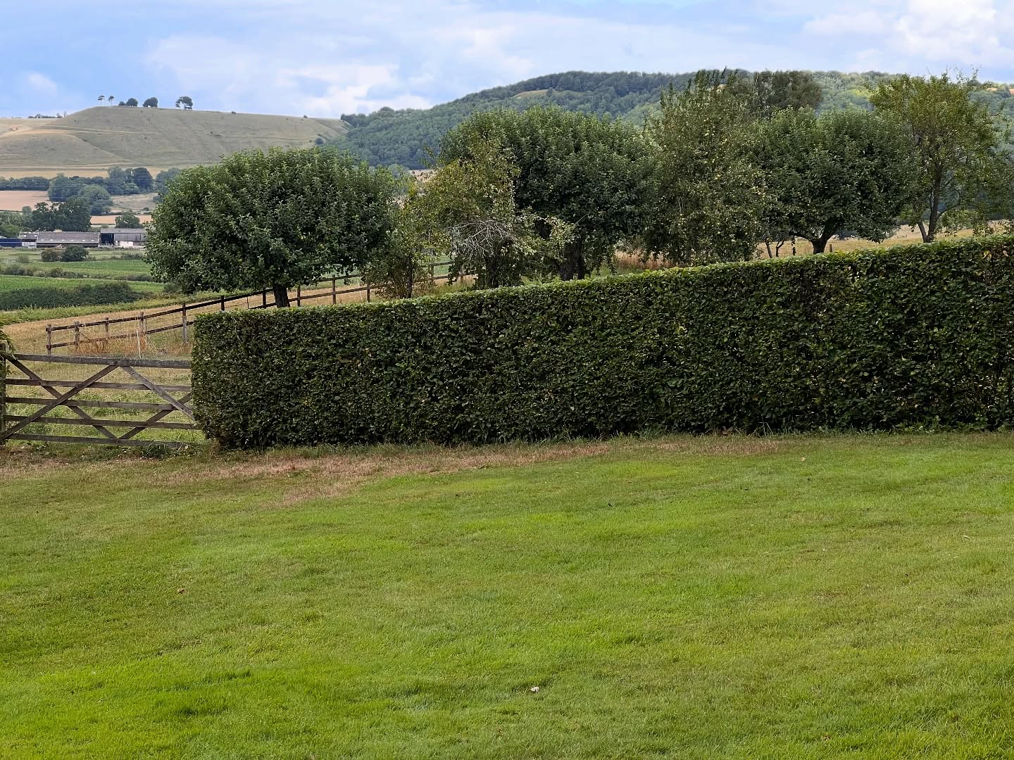 ✂️🌿 Hedge Transformation with a View! 🌿✂️
Out in Devizes today with Roundway Hill in the background 🏞️ — the perfect setting for tidying up this big, unruly hedge! 🌳💪
This one had really lost its shape — uneven, overgrown, and starting to creep out far beyond where it should be 😬
So we stepped in to give it the full works 👇
🔹 Trimmed and shaped both sides for a clean line
🔹 Brought the height right down to open up the view
🔹 Neatened the edges for that sharp, professional finish
🔹 Cleared every last bit of mess — no clippings left behind! 🧹✅
Not only does it look 100x better — it’s healthier for the hedge too! 🌱💚
Sometimes a good, solid cut-back is just what’s needed to bring everything back into balance ✨
📍Devizes, Wiltshire
⛰️ With the beautiful Roundway Hill watching over us!
We LOVE jobs like this — satisfying, scenic, and seriously rewarding 🙌
—
Need help with an overgrown hedge or garden tidy-up?
📩 Send us a message — we’re ready to get stuck in!
#HedgeTrimming #Devizes #RoundwayHill #GardenGlowUp #WiltshireGardens #BeforeAndAfter #GardenCare #TidySpaces #HedgeJobDone 🌳✂️🧤🌞🪚🪴💥💚