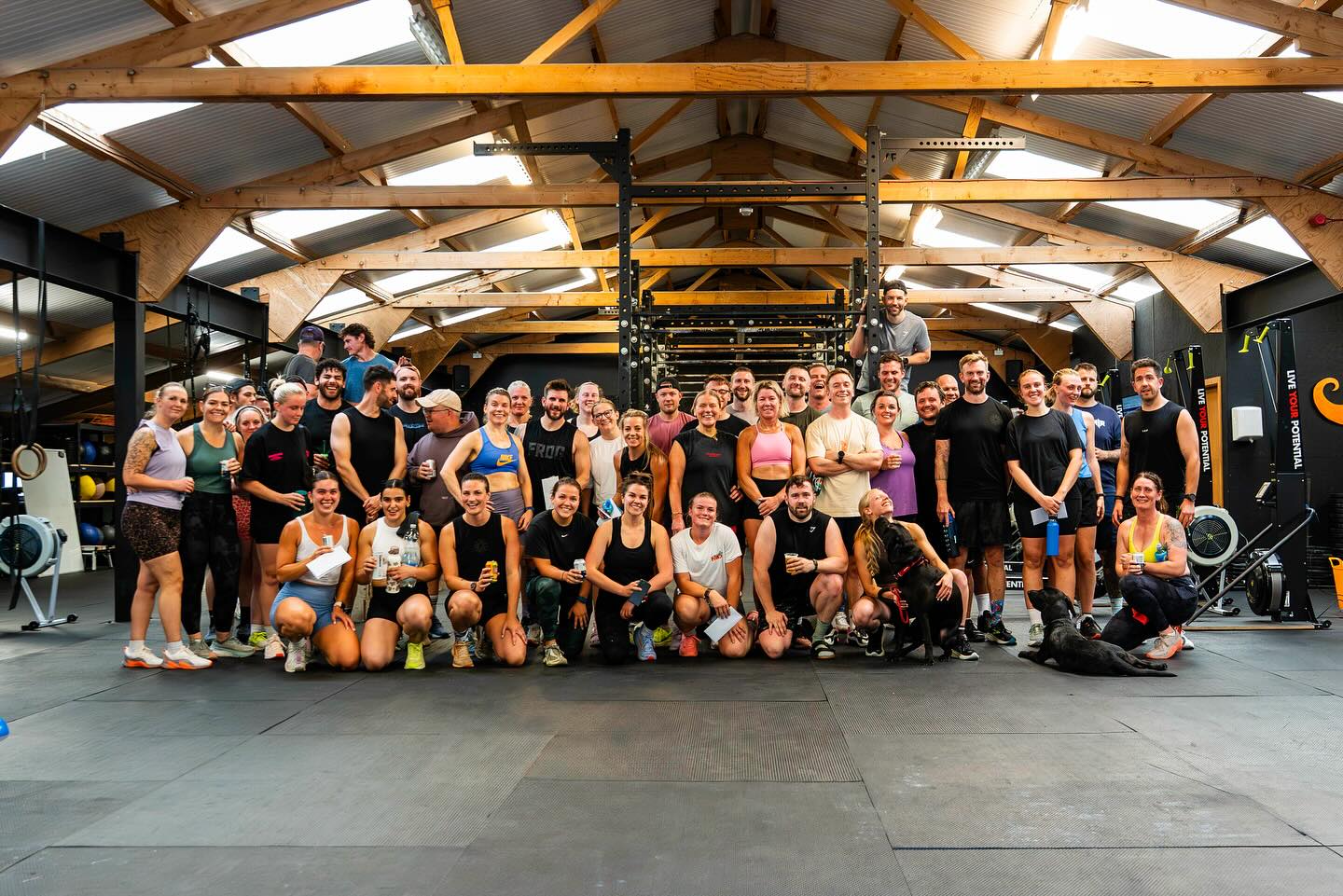 Just can’t beat these people!
We’ve been doing this thing called a gym over 14 years now and it just keeps getting better and better!
Chicken shed life!
🥳😍