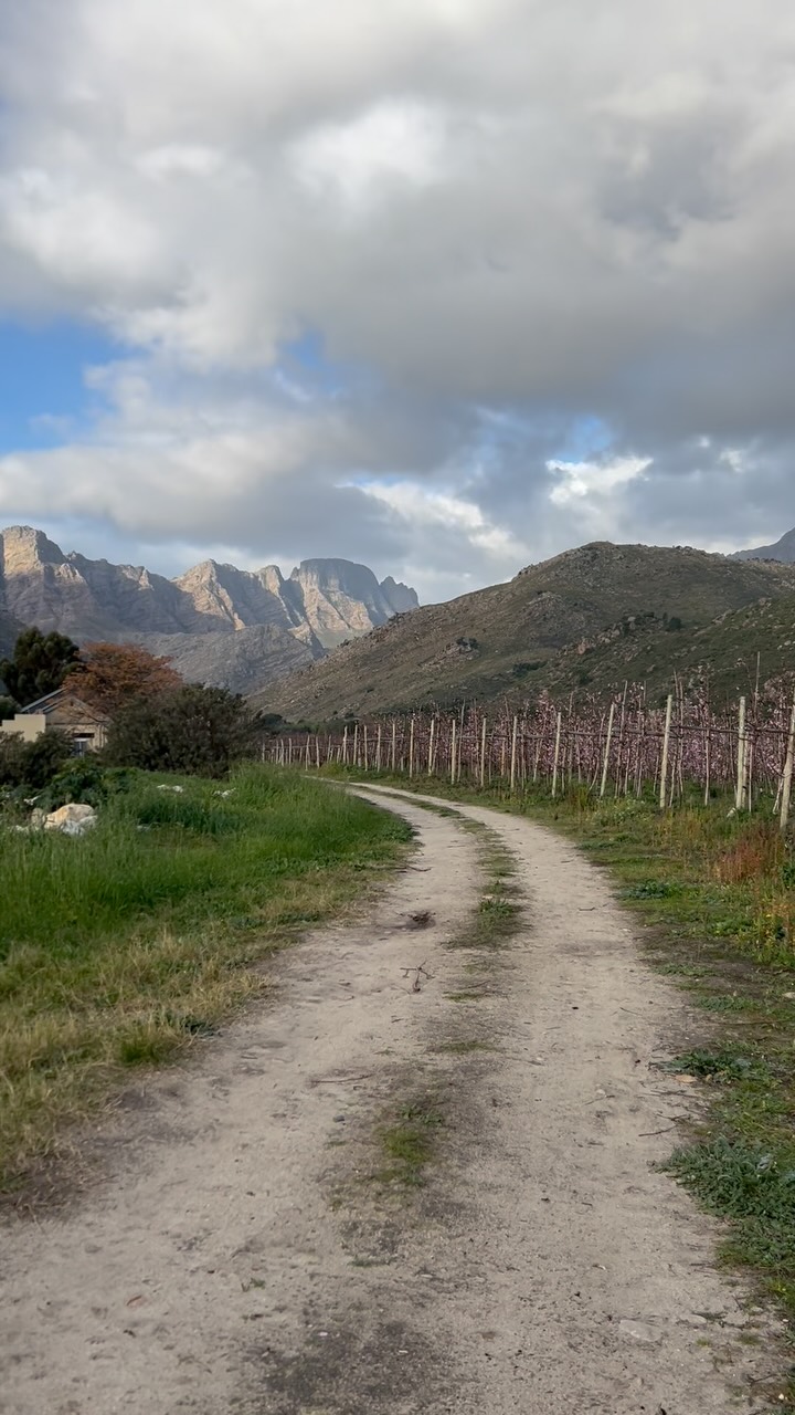 “If you concentrate on what you have, you will always end up having more. If you focus on what you don’t have, you will never, ever have enough.”
✨Oprah
#oliverock
#gardenwedding
#destinationwedding
#blossom
#agritourism
#daschund
@olive_rock_venue
@saweddings
@tulbagh