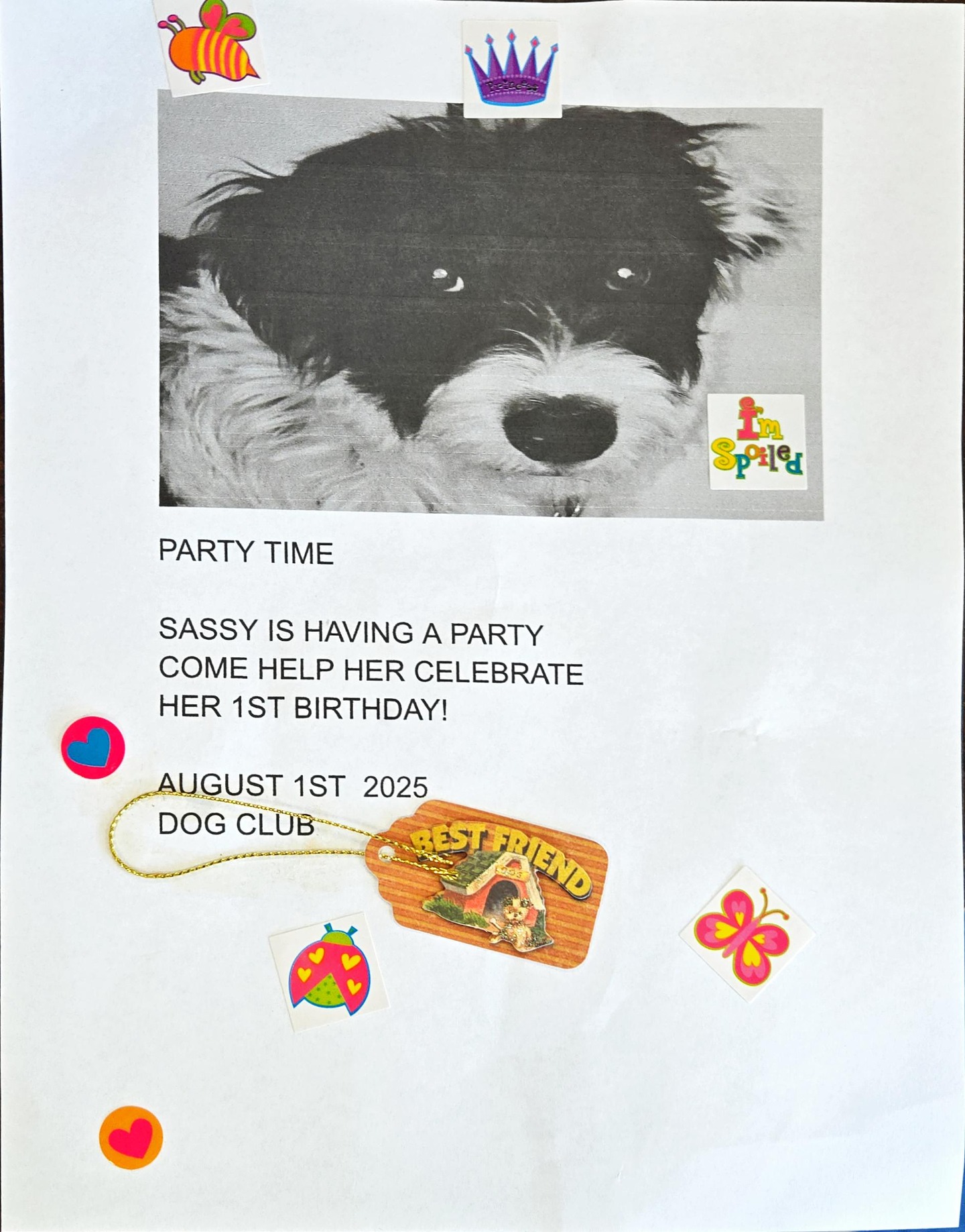 🎉🐾 Happy 1st Birthday to Sassy! 🐾🎉
She’s turning ONE, join us at the Dog Club on August 1st for a celebration full of treats, games, and tail-wagging joy. Sassy’s bringing the sparkle—don’t miss the fun!
🗓️ Date: August 1st, 2025
📍 Location: Dog Club
🎂 Guest of Honor: The fabulous Sassy
Let’s make this a barkday to remember! 🐶💕