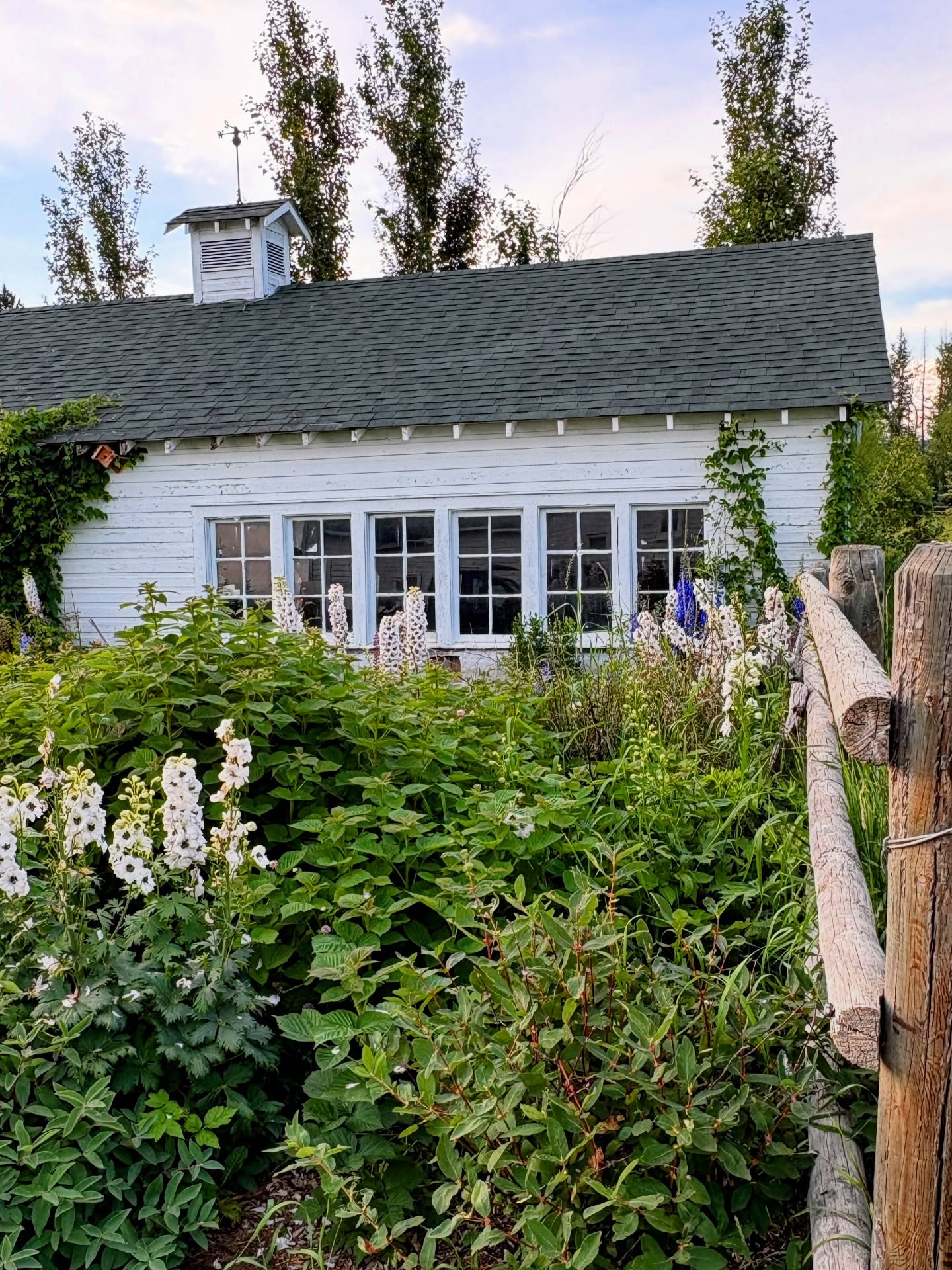 July brought us over 8” of rain - how lucky are we?! Pastures are lush, flower gardens exploding, ponds topped up, and farmers smiling. This summer has brought us our first retreat, first family reunion, and in a few shorts weeks, a very special 80th birthday celebration for my folks. Again, how lucky are we?!
Hope you all are enjoying every drop of goodness from this beautiful summer.
☀️🌸💛
#farm #regenerativeag #permaculture #farmlife #farmstead #farmtwo53 #barn #cottagegarden #homestead #homesteading #grateful