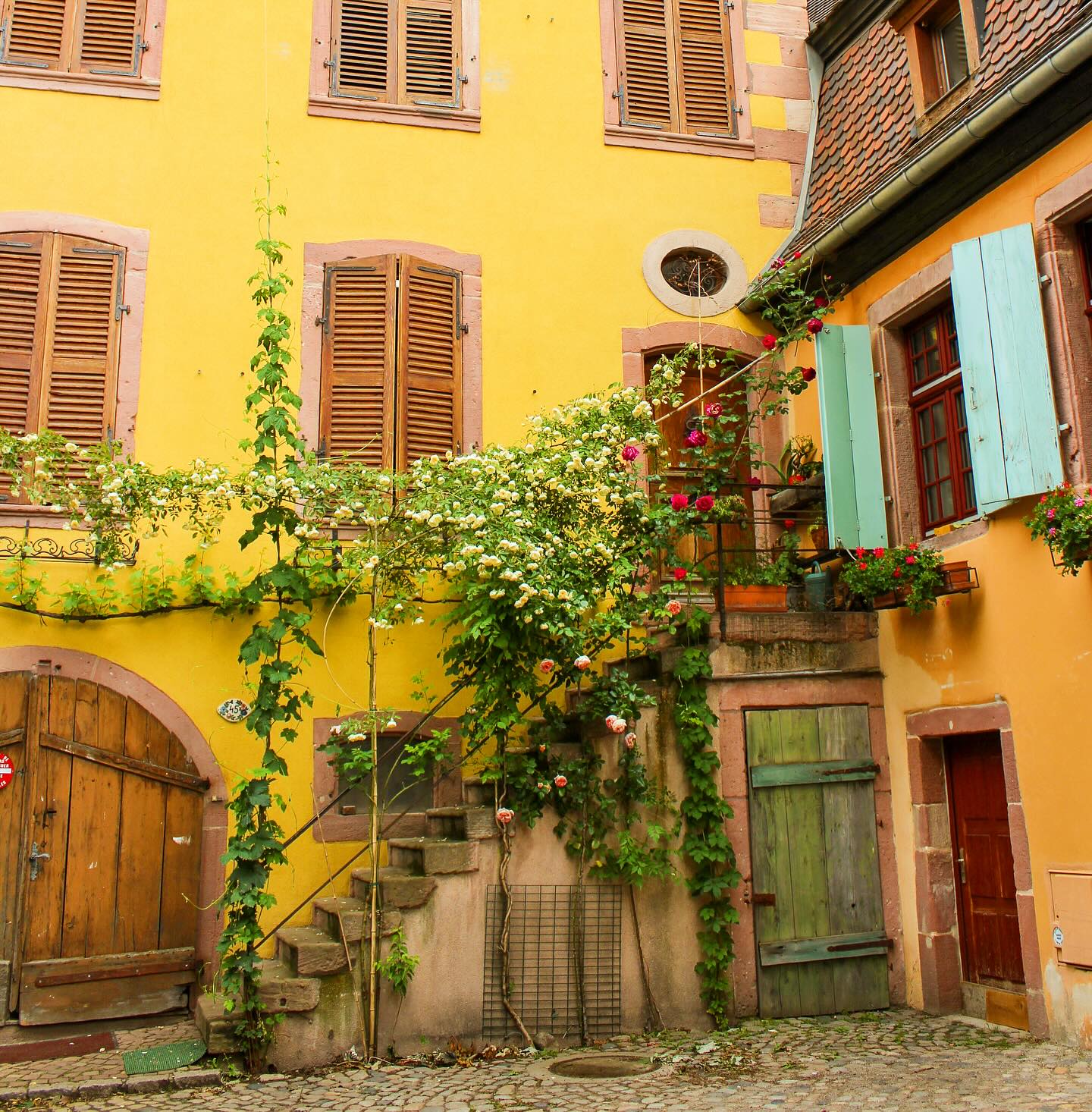 How can a simple courtyard be so charming? Answer: Alsace, France 💛🦋✨ #colmaralsace 
#alsace #alsacemylove #alsacefrance #colmar #colmarfrance #frenchstyle #courtyards #simplebeauty #ruebellevueambience #ambientvideos #youtubecreator