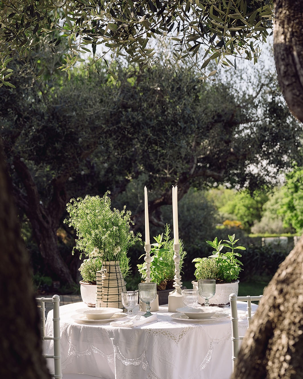 Garden elopement under the olive trees …
Love the idea of a minimal yet elegant tablscape using fresh herbs and plants, and it was executed oh so well by @k.oza_oza