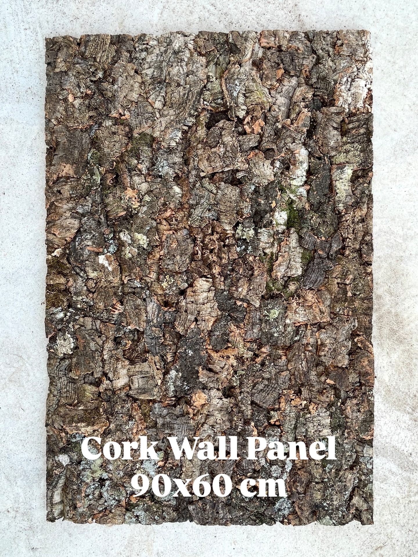 Cork Wall Panel
#terrarium #terrariumlove #terrariumimaginarium #terrariumworkshop #terrarios #terraria #terrariumdesign #terrariummurah #terrariumscene #terrariumbox #terrariumbuilding #terrarystyka #terraryum #vivarium #vivario #vivariumdesign #vivariumplants #vivariumsofinstagram #enclosures #enclosure #paludarium #paludariumindonesia #paludariums #zoohandlung #rainbowboa #terraristik #morphs #morph #morphmarket #reptile