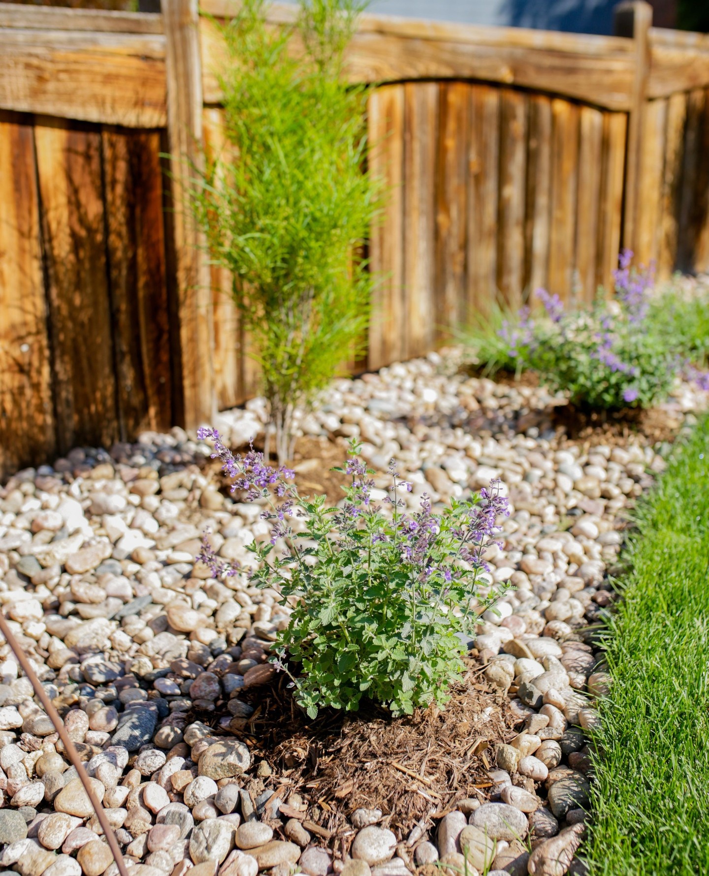 Even the simplest updates can make your backyard a place you love to be! We’re loving this sweet and simple rock garden we created for our client. Interested in updating your backyard? Schedule a consultation with one of our amazing designers today!
#fortcollins #lovelandcolorado #backyardoasis #coloradobackyard #backyardinspo#outdoorkitchen #landscapedesign #backyarddesign #landscape #landscaping #landscapeservices #landscapedesigners #outdoordesign #homeinspo #landscapearchitect
#outdoorlife #landscapingcompany #curbappeal #hometips
#outdoorfurniture #gardendesign #patio #landscapearchitecture #outdoorliving #exteriordesign #coloradorealestate #frontyard #exterior #gardeninspiration #hardscapedesign