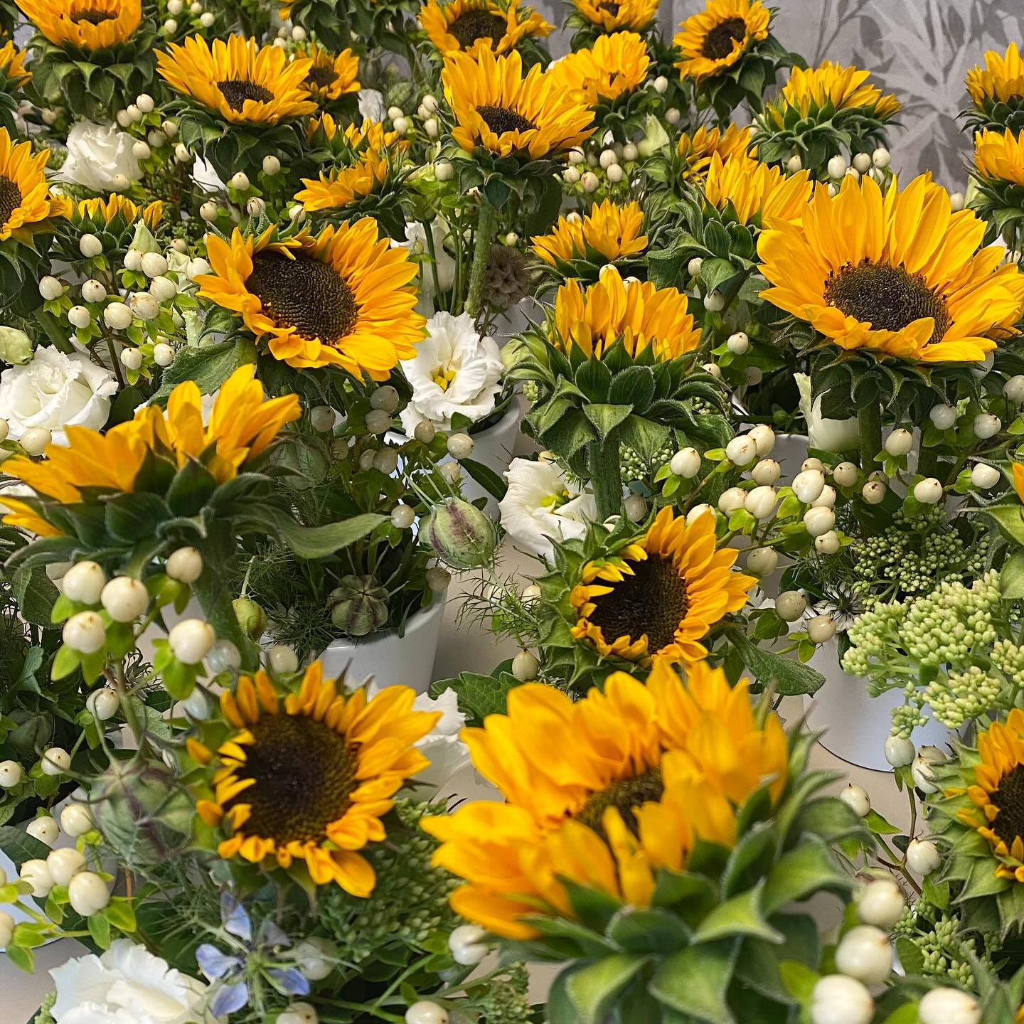 Farben der Saison🌻Die fröhlichen Sonnenblumen machen einfach gute Laune. Jetzt haben sie Saison und man kann sie beim Floristen kaufen oder auf den Blumenfeldern selber schneiden. Und ohne langen Transportweg daheim direkt in die Vase stellen, das macht Freude.
#sonnenblumen#sonnenblumenfeld#saison#blumen #blumendersaison#floristin#florist#nachhaltig#grün #ökologisch#zürioberland#dürnten#bachtel
SONNENBLUMEN
FLORISTIN
LOKAL
ZÜRIOBERLAND
BLUMENSTRAUSS