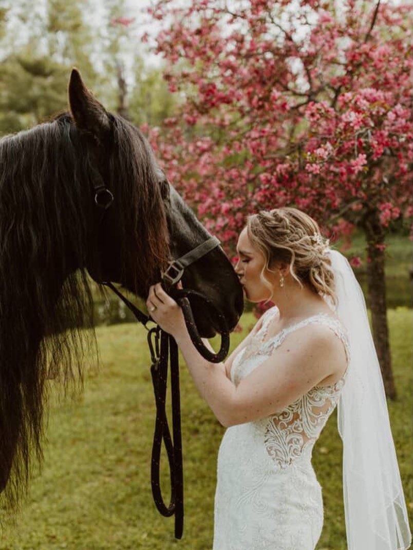 Wild heart, braves soul and beautiful mane
Hair by @klavazbeautyteam
#bride #brideottawa #ottawawedding #bridalottawa #ottawabrides