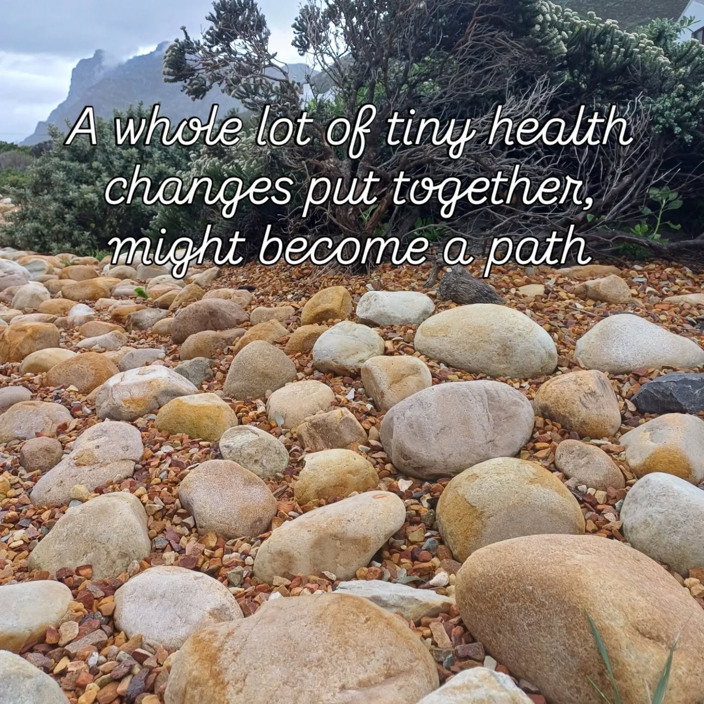 Tiny changes is really the secret to lasting health🎋
🥛Instead of cutting out sugar all at once 👉add a glass of water a day🥛
🚶🏼♀️Instead of forcing 60min workout👉 move 15min daily
✨️Why it works - Tint changes feel doable - and shat feels doable gets DONE