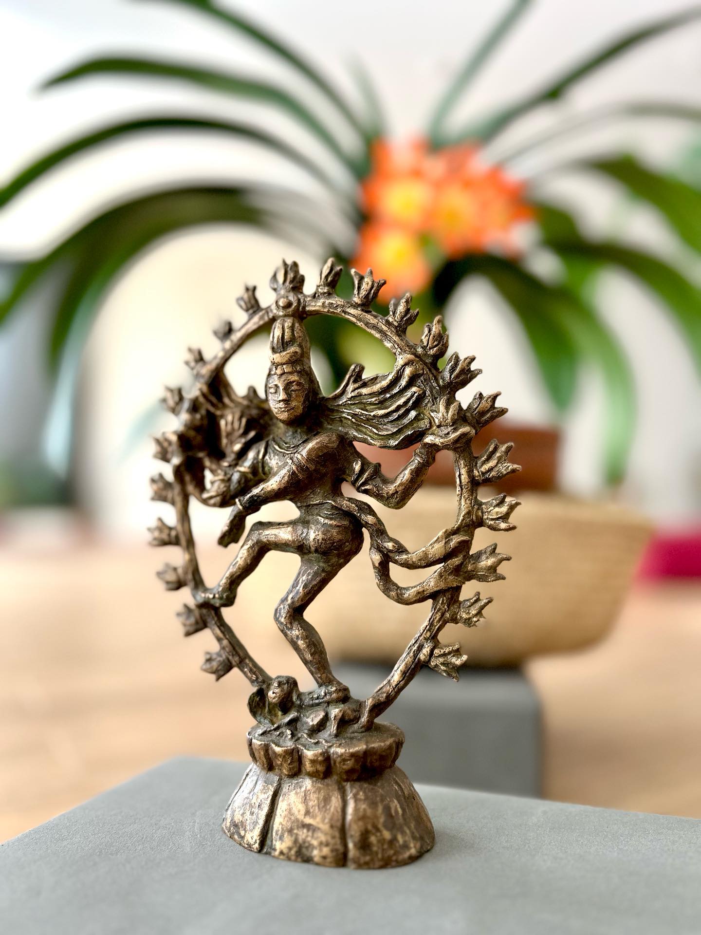 ✨ Cet été chez SoundYoga ! ✨
Un vent de nouveautés souffle sur votre studio… 🌬️
🌿 MYO Yoga & Massage Viscéral
Une séance inédite pour relâcher les tensions profondes, libérer le ventre, le souffle… et l’émotion. Une expérience rare, puissante, à vivre dans l’écoute du corps.
🧘♀️ Réservez votre place maintenant !
🎶 Yoga du Son
Plongez dans la vibration, laissez les fréquences vous guider et vous guérir. Une pratique méditative, douce et réparatrice, soutenue par la voix et le silence.
🔸 Une invitation au voyage intérieur.
🔔 Nouveaux Gongs pour les Bains Sonores !
Des sonorités inouïes arrivent avec nos nouveaux instruments. Venez les découvrir lors de nos bains sonores du vendredi.
🌀 Vibration profonde, transformation garantie.
🌞 La Retraite approche !
Une parenthèse sacrée entre nature, silence et pratiques subtiles. Vous rêviez de déconnexion ? C’est maintenant.
🧭 Infos et réservations sur notre site. Une dernière place encore disponible !
🌈 Festival l’Enceinte : on y sera !
Des ateliers, de la musique, du partage, et notre présence joyeuse au cœur du château de Pierrefonds !
🔸 Venez nous rencontrer, vibrer et pratiquer ensemble.
🧠💫 Neurosciences & Méditation
De nouveaux ateliers puissants pour explorer les liens entre cerveau, souffle, et conscience.
🔸Science & pratique, au service de l’éveil.
👉 Toutes les infos, dates & résas sur le site et en story permanents !
Au plaisir de vous retrouver !
.
@soundyoga.fr
.
.
#yogacompiegne #soundyoga #bainsonore #myoyoga #yogaduson #meditation #neurosciences #retraiteyoga #retraiteyogafrance #retraitebienêtre #immersion #yogabainsonore #bainsonoreoise #festival #retreatvibes #yogafrance #compiegne #soundyogacompiegne #vibration #diapason #diapasontherapeutique #sanskrit #yoga #🕉