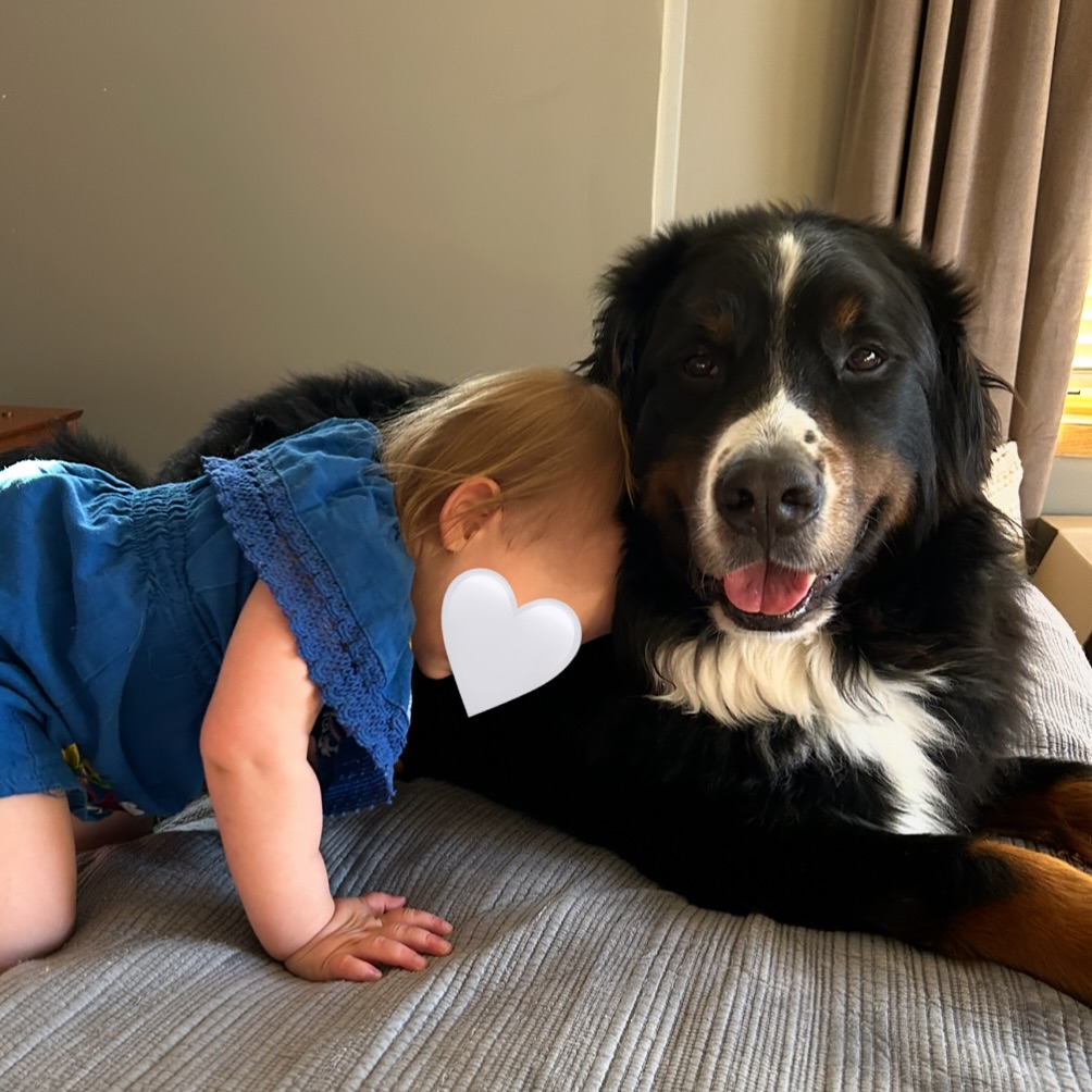 Ernie is SEVEN! 🥳🪩❤️
Happy Birthday to our big boy! Wishing you another year of fluffy blow drys, stargazing, shower lifeguarding, and (sanctioned) snacks from the toddler tower.