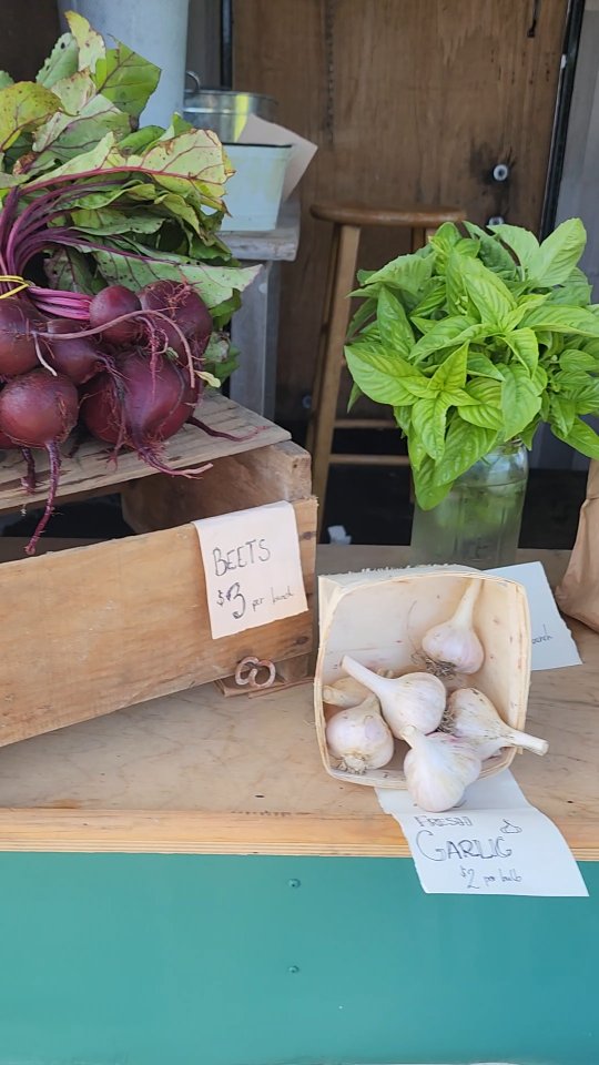 WOW do we have produce this week! Pork, eggs, and SO many regeneratively-grown veggies!
Self-serve farm stand open from 8 to 1 today!
6296 Meadows Road in Dewittville.