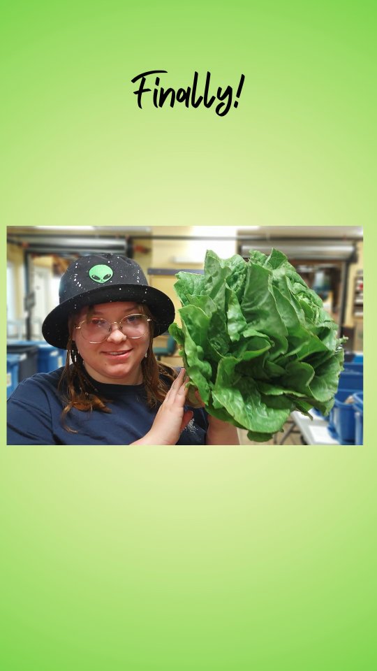 Annita goes, "đŹ That is a very serious face đŹ" đ«
#wfm2go #shoplocal #farmersmarket #wolfville #buylocal #wolfvillefarmersmarket #novascotia #supportlocal #eatlocal #freshproduce