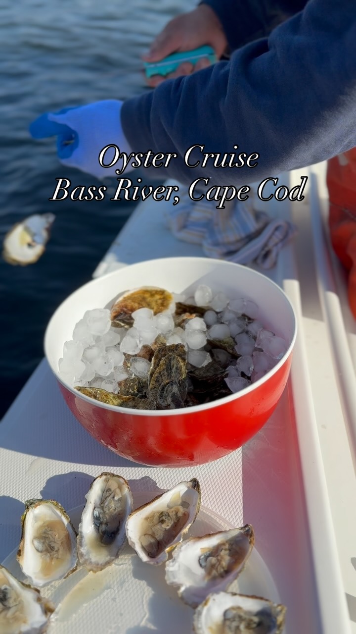 It was a little too windy to fish yesterday, but not too windy to cruise up Bass River and enjoy some freshly shucked oysters! I don’t think anyone was upset with plan B. 🦪⚓️ #jaxcharters #fishing #capecod #capecodcharters #oysters #oystercruise #bassriver #oystersinmypocket