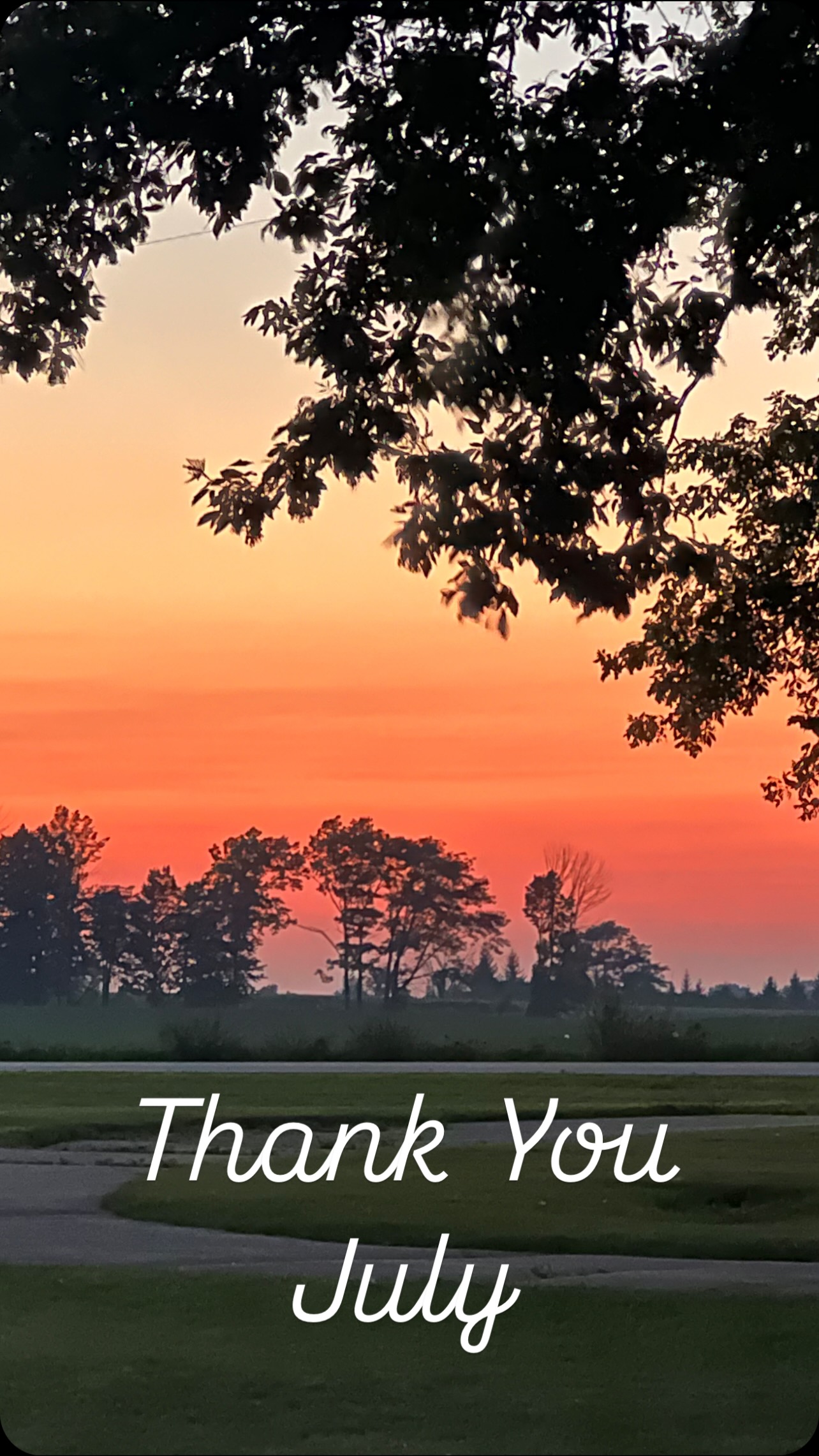 Thank You July! Time flies when you’re having fun and July was no exception. But this month was the first in a while where work and life seemed balanced.
Spent time reconnecting with nature in Shenandoah Valley and checking off another National Park on the bucket list @nationalparkservice
Vended some awesome events including a pop-up at @olson_house with @thebocomke . And our favorite farmers markets @riverwestfarmersmarket @richfieldwifarmersmarket never disappoint always keeping our fridge and bellies full.
Explored a new to us space, @alicesgardenmke . Learned about sustainable agriculture and all that the wonderful Venice Williams does to cultivate the community. If you’ve never visited, it’s a must see.
And to wrap up the month, spent time in our happy place (Up North/Door County). The lavender was in full bloom and Washington Island left us in awe.
So thankful for these moments and hoping the next month is even greater! #shopgreenhaven #ecofriendly #connectwithnature #lifebalance #farmersmarkets #popupshop #milwaukee #doorcounty