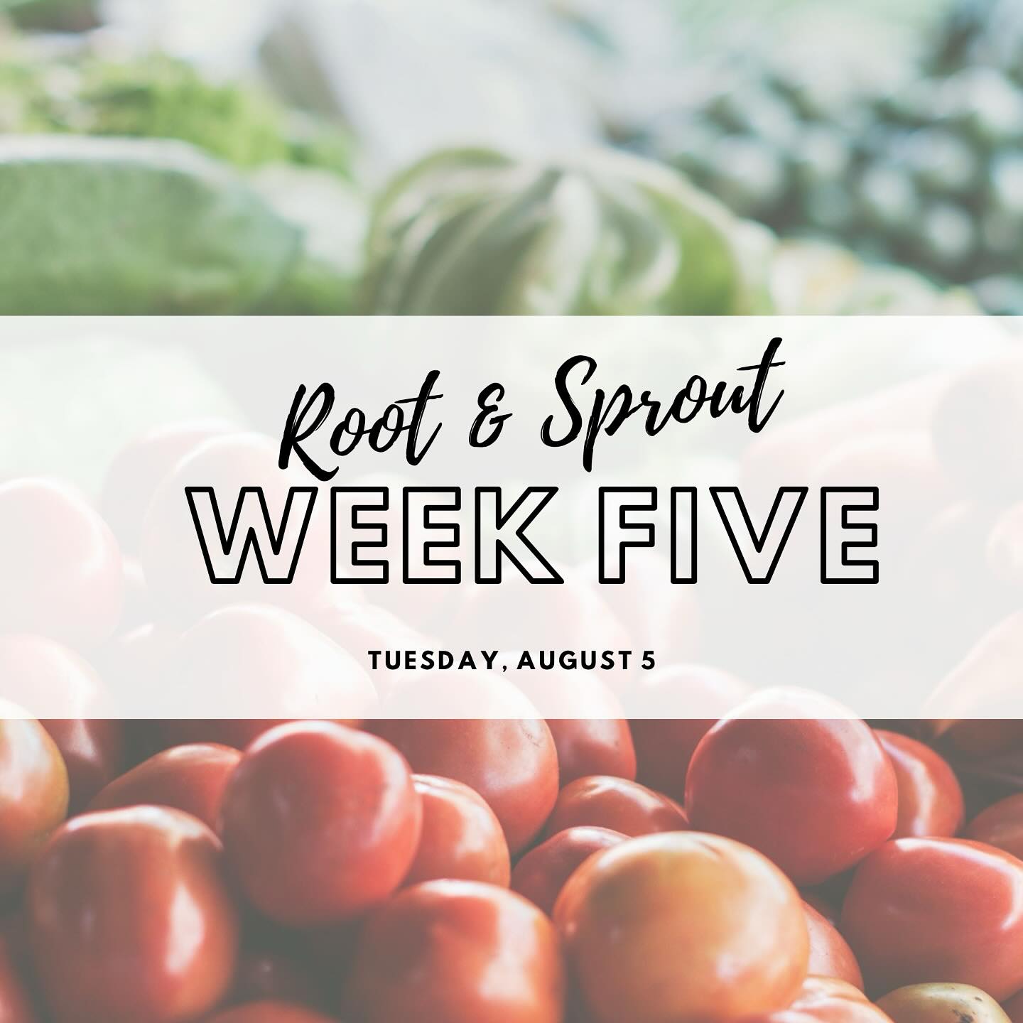 Week 5 emails are in your inboxes CSA members!
Not part of our CSA? No worries, our online market is open for business! Check out our online store and pick up your order on Tuesday. Simple and easy! It’s like a farmers market click and collect!