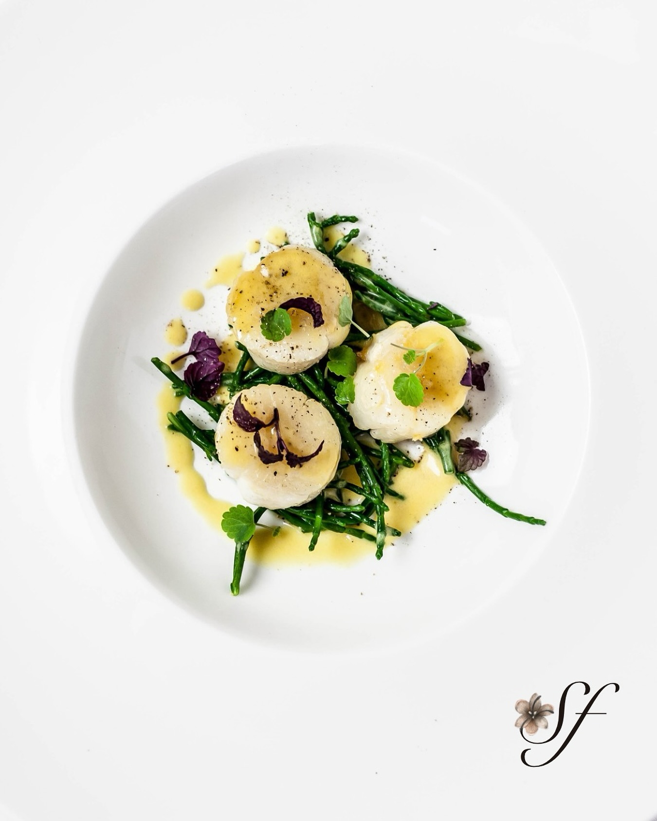 🌊 Elegance in Every Seared Note ✨🧄
Golden on the edges, tender at heart, our scallops are kissed by the pan and elevated by nuance.
A delicate glaze of citrus, a touch of harissa warmth, and a whisper of saffron bring North African soul to this coastal delicacy. Each bite is light, luxurious, and unmistakably crafted for altitude.
At Saffron, we don’t just serve, we seduce the senses.🌸
📍 Serving at Marrakesh, Rabat, Casablanca & Tangier
📩 Taste the difference: orders@saffron-vip.com
Because elegance is an experience.🛩️
#ScallopsBySaffron #JetGourmet #SaffronMoments #PrivateJetCatering #FineDiningInTheSky #AltitudeElegance #NorthAfricanFlavors #LuxuryOnBoard