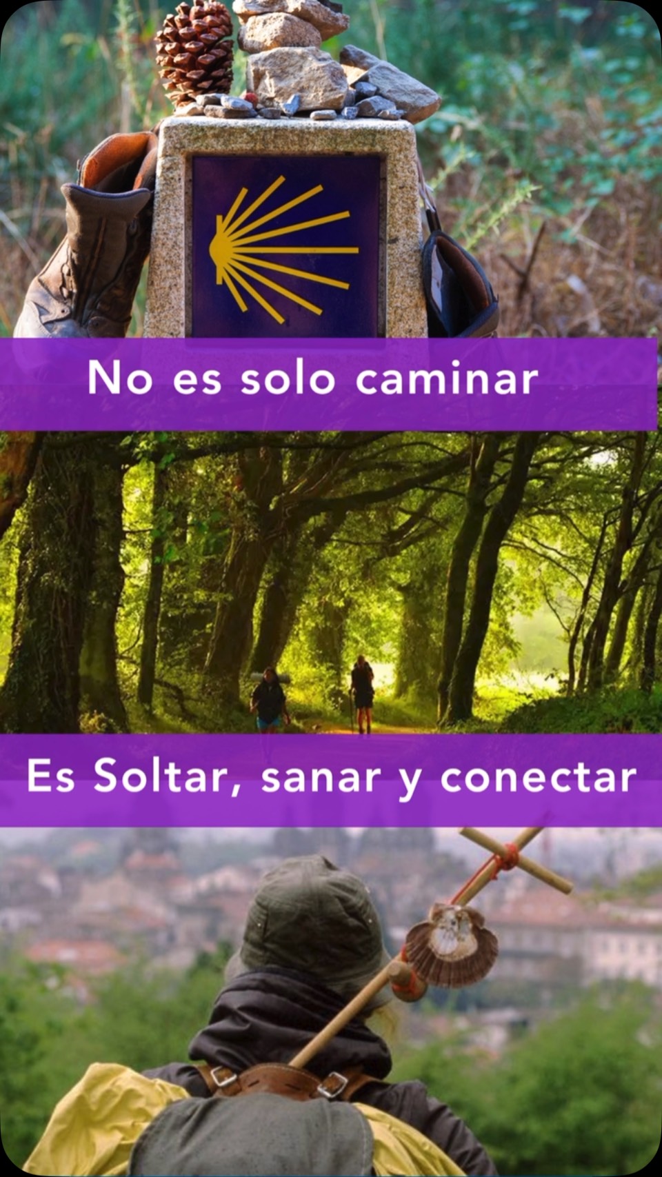 🌿 Caminá sin cargar peso, dormí bien, descubrí algo dentro de vos.
✈️ Del 12 al 21 de octubre
📩 Escribinos hoy y asegurá tu espacio.#caminodesantiago #descubremás #turismorural #viajesdescubremás #viajesconpropósito #santiagodecompostela #buencamino #consejosdelcamino