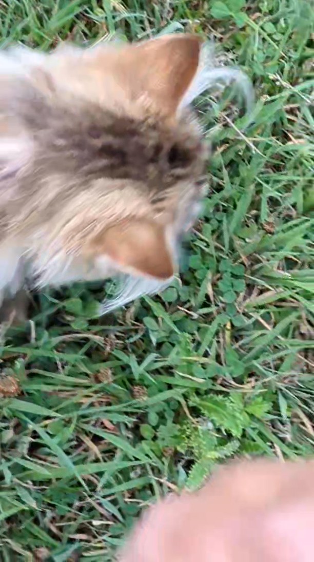 Marshall living his best life.