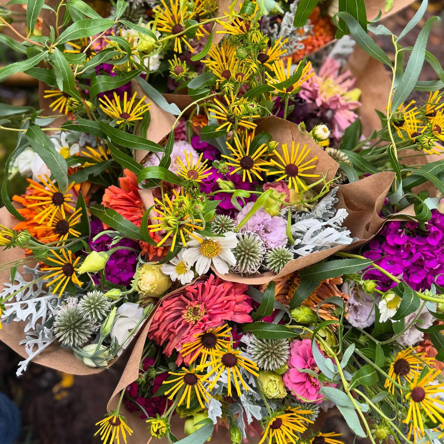 Wild and whimsical bouquets going out to @themercva and for the last week of our summer CSA share!
Be sure to grab a bundle. And if you’re loving it- sign up for our fall Dahlia share starting mid September! #linkinbio
#localflowers #buylocal #shopsmall #loudouncountyva #summerflowers #dahlias #csa #flowerfarmer
What’s your favorite summer flower and why do you love it?