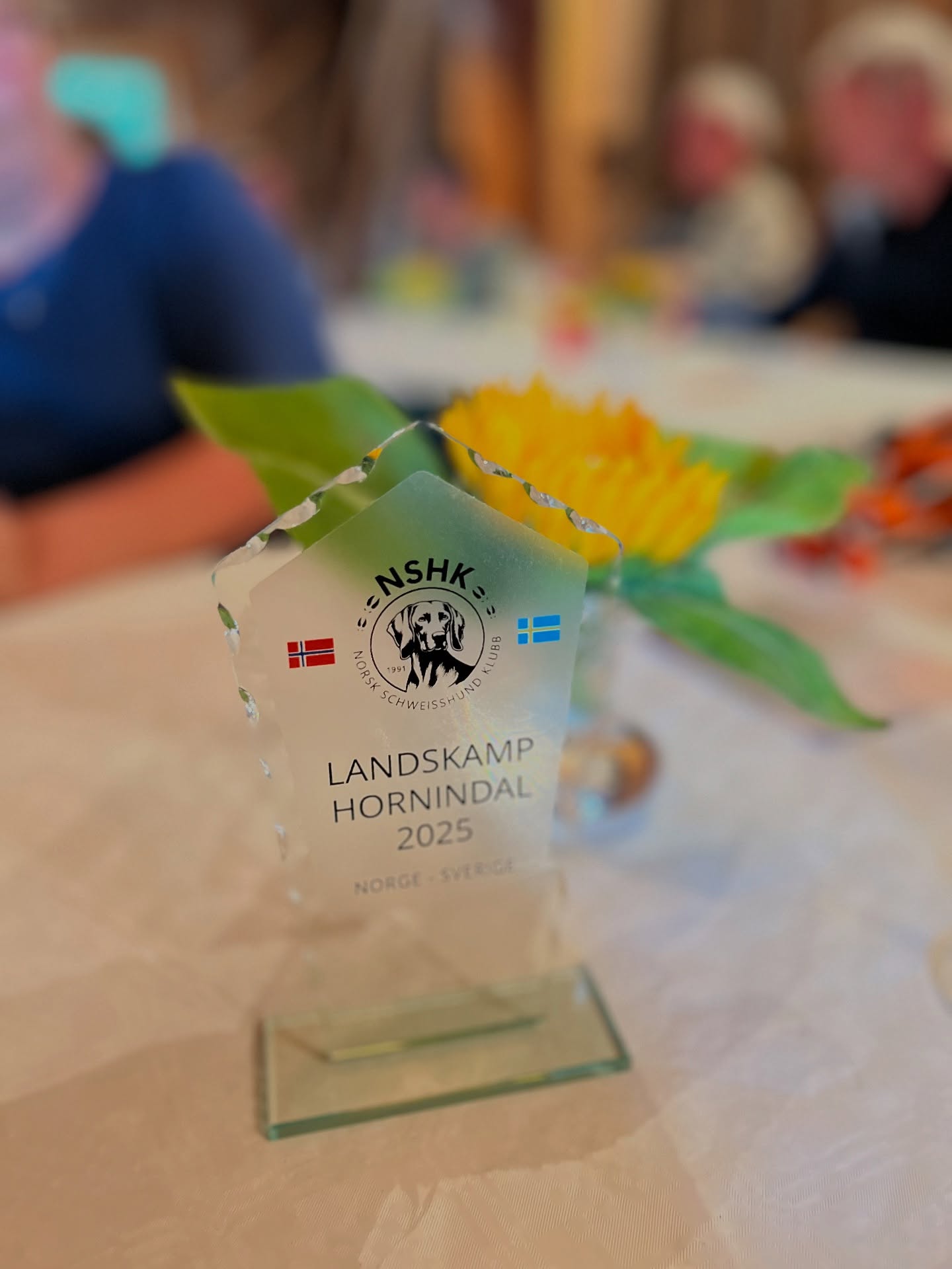 Då var landskampen över för denna gång , trots en mycket bra och tapper insats av våra svenska ekipage så lyckades Norge kamma hem fulfotingen iår 🏆🇳🇴
Grattis till Norge! ☀️
Det har varit en mycket trevlig helg med god mat och gott umgänge och vi tackar Norska schweisshundklubben för gästvänligheten 🇳🇴☀️🏔️
Vi vill också passa på och tacka alla domare och inblandade för era insatser under helgen 🤗
Vi ses nästa år!🇳🇴🇸🇪❤️