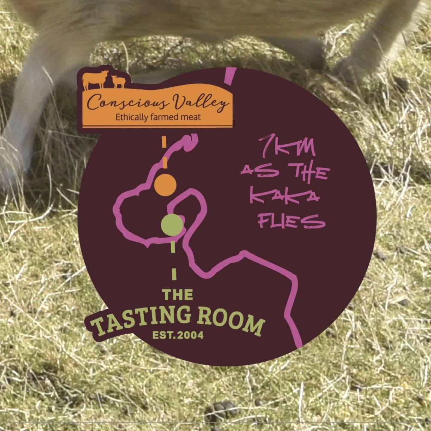 Meet the farmers 🚜
Ever wondered where the meat you're eating actually comes from?
The lovely lamb shoulder in our WOAP burger comes from @conscious_valley farm in Ohariu Valley, which is only 7km from The Tasting Room (as the Kaka flies).
We are lucky enough to be having Hamish and Paddy, the farmers, and their dogs, Collie and Ted, coming to The Tasting Room this Thursday the 7th of August at 5pm for a meet and greet!
Head on down to try our burger and have a chat with the people who take such good care of their stock.