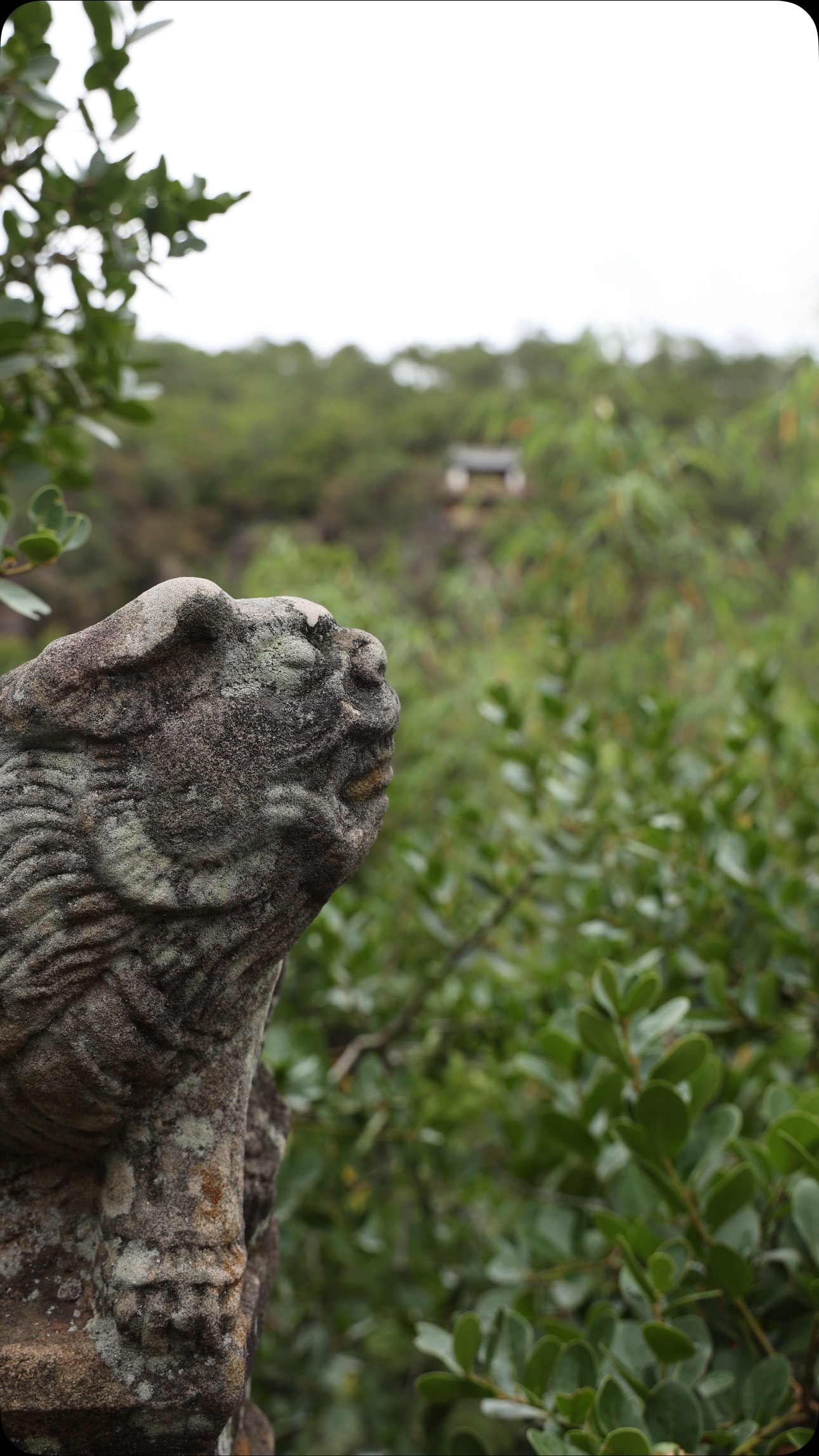 🏔️ A Day in Jianchuan - Where Stone Whispers, Wood Sings & Time Breathes
From 1,200 years’ wind-carved Buddhas to Bai grandmothers stitching clouds into cloth, every step unveils a layer of China’s living memory.
Rhododendron-kissed cliffs, cobbled silence, and cedar-steamed feasts converge in timeless harmony.
Whether chasing vanishing art or savoring slow afternoons in a woodcarver’s courtyard - Jianchuan draws you closer to a China unfiltered.
👭Follow @woksandwonders for guardians of China’s unseen.
#JianchuanHarmony #StoneWoodTime #VanishingArt #Bai #ChinaUnfiltered #woksandwonders