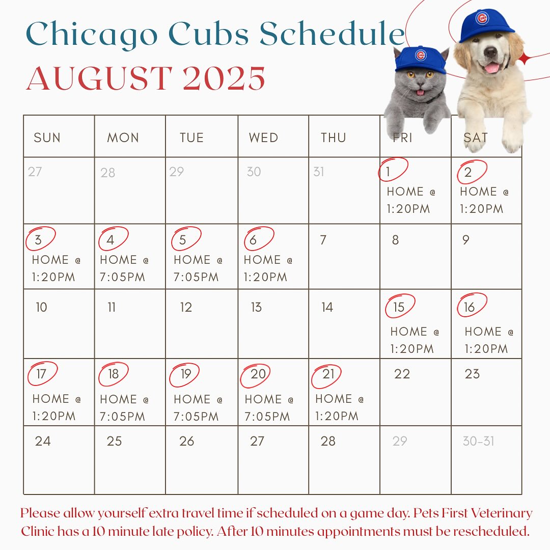 Time for August ball 🫡⚾️