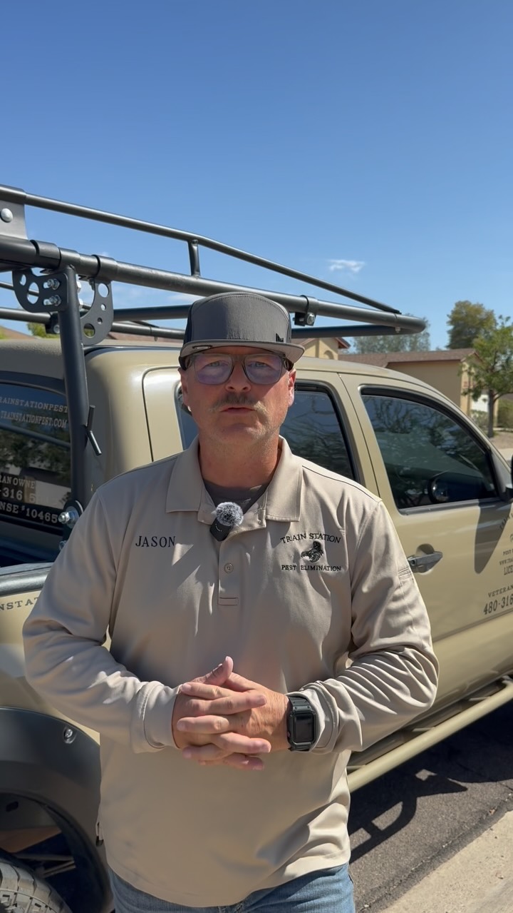 It's not If... It's when. You will get termites in Arizona. Get protected today. Give us a holler! #termites #termitecontrol #termiteprotection #termitetreatment #termitestation #trelonaatbs #phoenix #arizona #pestcontrol #pestelimination #scottsdale #trainstationpestelimination