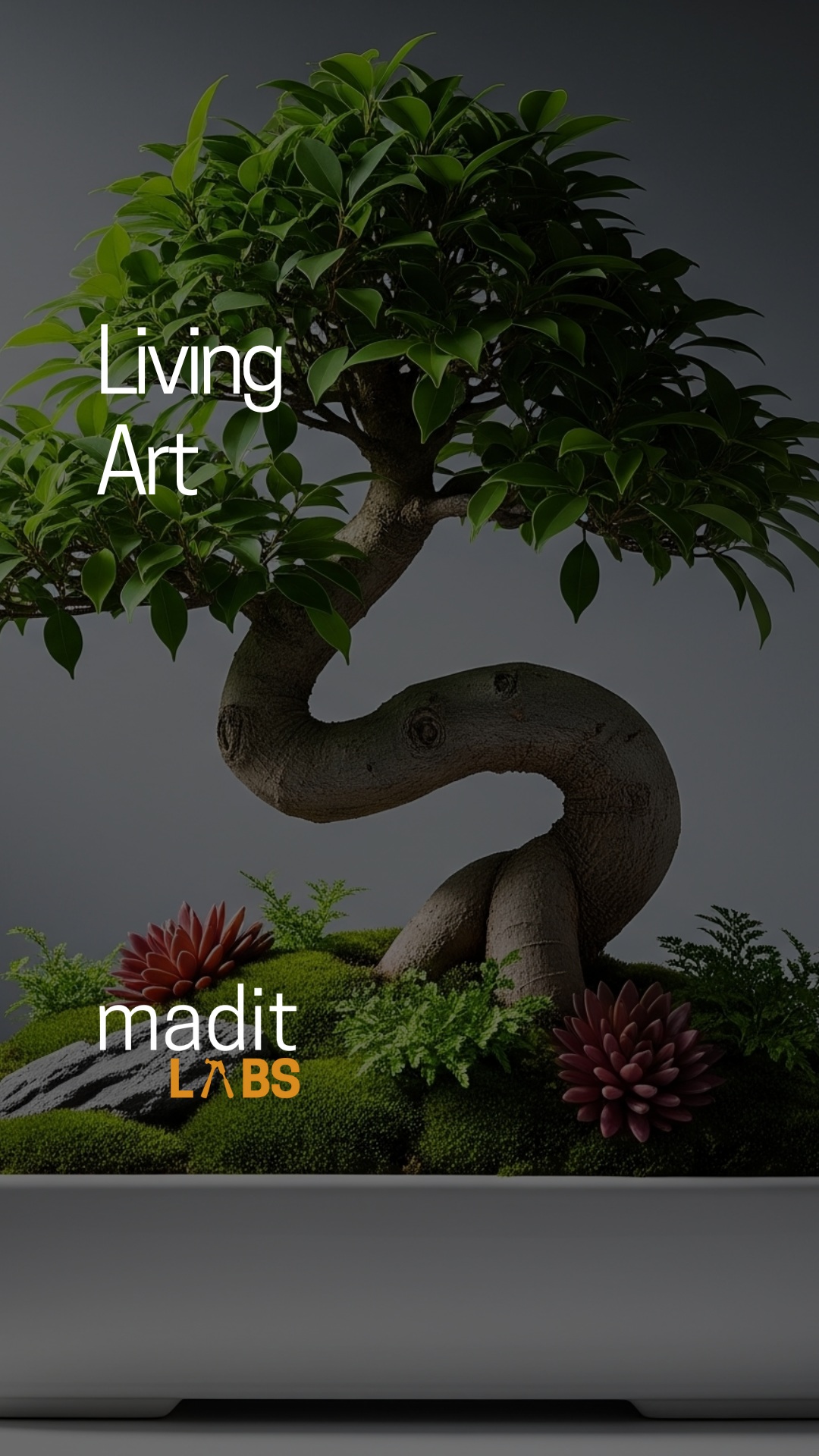 This is living art — a quiet space shaped by hand, made to be lived with.
#maditlabs #bonsaiart #miniaturelandscape #livingwithplants #madituk #calmspaces #indoorgarden