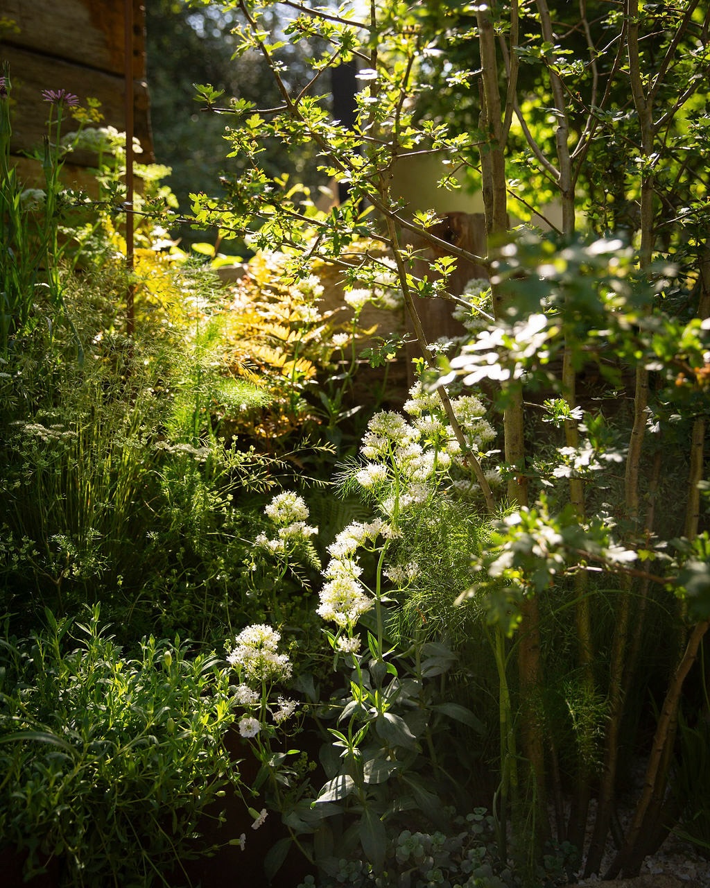Lucy Mitchell @la_la_landscape_design is an award-winning Garden and Landscape Designer based in Walthamstow. She’s been with us at @beulahroadstudios for almost a year now! Her garden designs and installations are dreamlike… ✨🌿🌳
With a background in Brand Experience, designing the architectural elements for events and product launches, Lucy gradually began incorporating plants into her installations whenever possible.
“I found so much joy working with plants that I realised garden design was something I wanted to focus on. I’ve always loved the challenge of creating immersive experiences. Designing permanent spaces that evolve with time and the seasons felt like a natural next step.”
In 2024, Lucy was awarded a prestigious Gold Medal at the RHS Chelsea Flower Show for her climate-resilient, sustainability-focused garden design.
She is currently working on a variety of exciting projects both locally and across the UK.
www.lalalandscapes.co.uk
