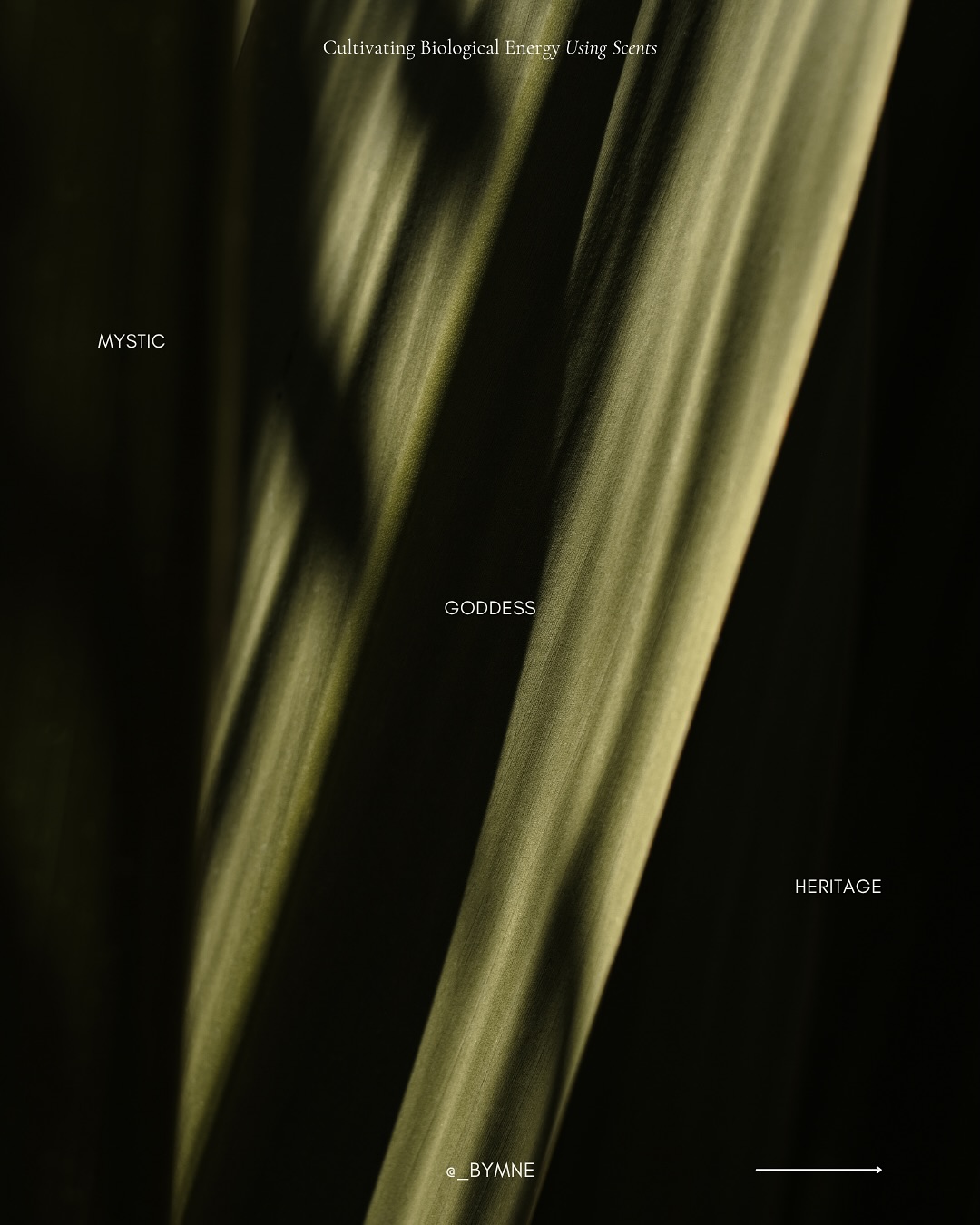 Clarify your intentions, elevate your emotions, and tap into your intuitive knowing.
Discover more on how the combination of thoughts and emotions can create biological energy that enables us to tap into our full potential and to manifest our desires by embracing Rwa Bhineda and the power of scents as the bridge to stimulate our hearts.
Read our feed: the link of our article is in bio.
#rwabhineda #elevatedemotions #biologicalenergy #nervoussystemregulation #intuitiveguidance #heartchakra #thepowerofscents #scentoftheday