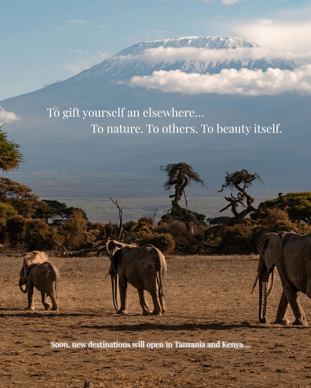 This is what Grand Horizons was born for:
Journeys that are not escapes, but reconnections.
To nature. To others. To yourself.
Two new destinations will open their arms:
🖤 The raw beauty of Tanzania,
🧡 The soul-stirring rhythm of Kenya.
Places where the silence speaks, and every horizon feels like a mirror.
→ Explore more through the link:
https://www.lyratika.com/grand-horizons
#GrandHorizons #Lyratika #TransformativeTravel #KenyaCalling #TanzaniaUnfolds #TravelWithSoul #LuxuryRedefined #SoulfulEscape #UnexpectedEmotions