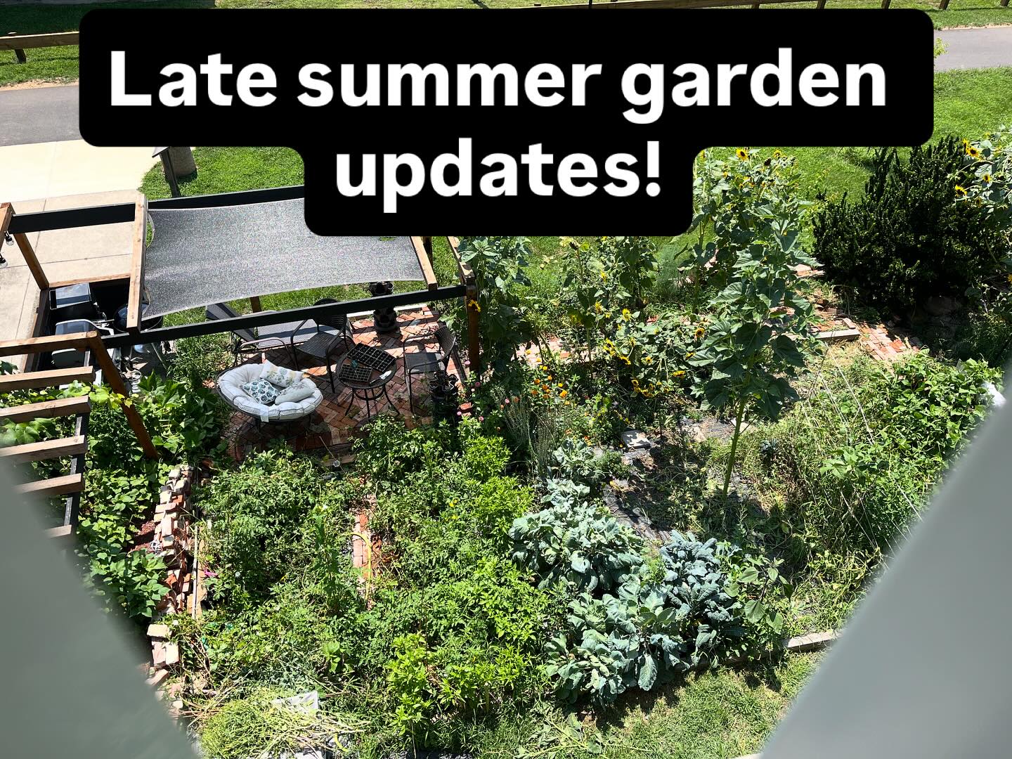 #gardening