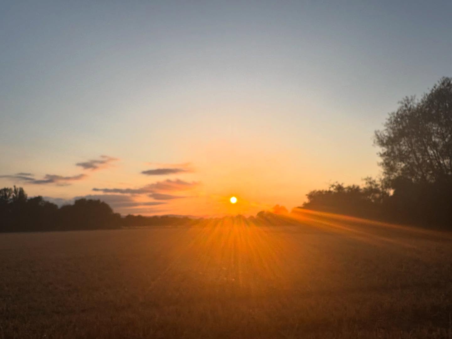 August is here - what’s coming up?
All classes continue as usual throughout August - outside wherever possible.
There are three extra sessions (drop ins):
This Sunday 3rd August 10.30am to 11.45am at Elmley Castle Village Hall - Movement is Medicine - a yoga flow with a scattering of neurological tips to improve your mobility. £10
Sunday 17th August as above at Elmley Castle.
Monday 25th August (bank holiday) 9.30am to 10.45am at Bredon Village Hall - Yoga Flow. £9.
Please message me to book your place.
Have a great weekend.