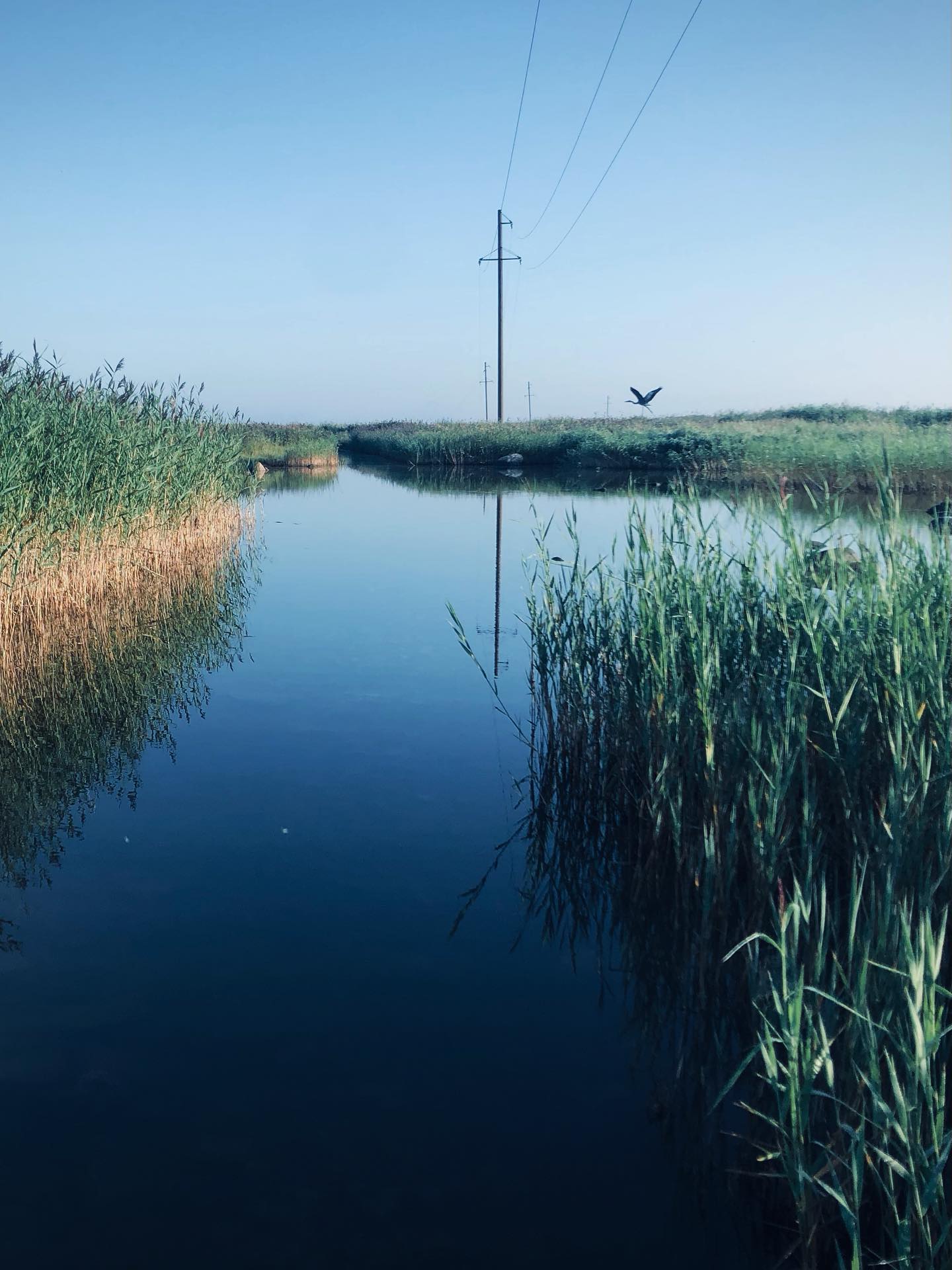 Water Trail to Vilsandi Lighthouse. There and Back.
The water trail leading to the main island is about 5 km long, and after that you have to walk 5 km more to get to the lighthouse. But you can also rent bicycles - just take them on the shore and pay at the lighthouse.
You are walking through the sea and swampy islands. The water level and the bottom conditions may vary a lot. In my case, the water was reaching my ribs at its highest point. But sometimes it is deeper there. Dirt and flies were the biggest problem for me. Nevertheless, it was a beautiful experience.
It was funny to see the free horses walking from one island to another. The Soviet-time phone booth, with a phone singing Estonian songs was quite a surprise.
The island itself is very pleasant to visit. The lighthouse is fully renovated and looks cute. There’s also an exhibition of local talents on every one of the eight floors of the lighthouse.
In the summertime, Vilsandi Island is quite lively, but in the winter only five people live there (according to the words of the lighthouse caretaker).
You can also reach the island by a little ferry (actually a motorboat) and take your own bike to the ferry as well, if you wish.
#vilsandirahvuspark #vilsandituletorn #vilsandilighthouse #watertrail