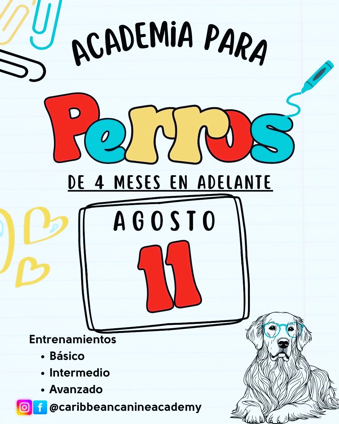 ESPACIOS DISPONIBLES PARA El 22 DE JULIO
Durante dos semanas completas, su perro se hospedará con nosotros mientras trabajamos en:
✅ Los cinco comandos esenciales
✅ Caminatas tranquilas sin halar la correa
✅ Y cualquier comportamiento específico que necesiten mejorar 🐶
Este programa está diseñado para ayudarles a construir una relación más clara, equilibrada y disfrutable con su perro, en un ambiente estructurado y de mucho respeto. 🌟
📅 Los espacios son limitados — reserva tu espacio hoy mismo.
Será un gusto tener a su perro con nosotros. 💛
#caribbeancanineacademy #puertorico #carolinapr #entrenamientodeperros #dogtraining #clasesparaentrenador #trainthetrainer #perrospr #perros #dogs #dogsofinstagram #canine #k9 #puppy #puppies #puppiesofinstagram #cachorros #cachorrosdoinstagram