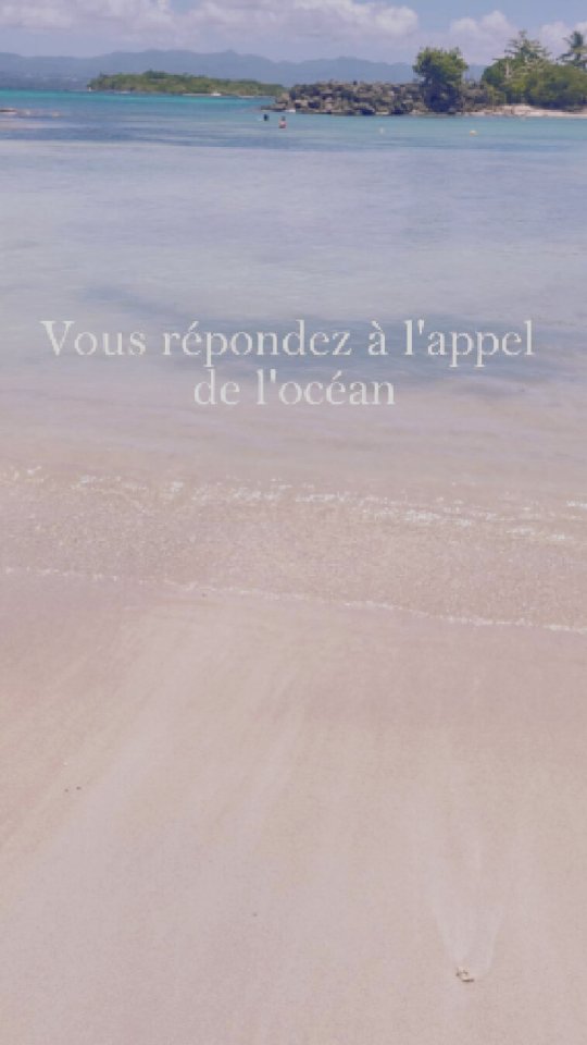 L'objet de l'appel : baignade et détente en plein océan atlantique 🤩
➡️ à partager avec les amoureux de la mer 🌊
#caribbean #caribbeanbeach #plageguadeloupe #guadeloupe #oceanside #ocean