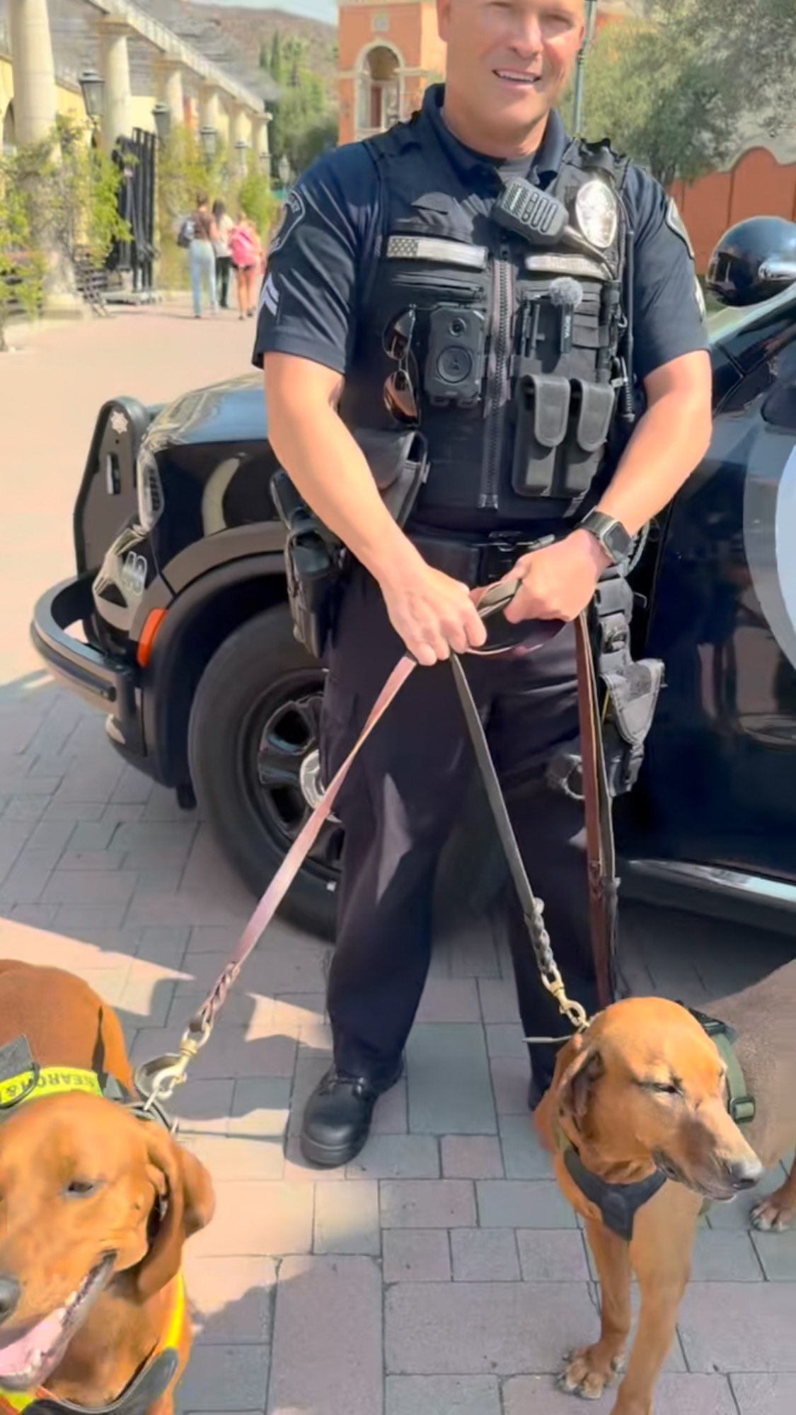 Don’t miss National Night Out in Simi on Tuesday, August 5th from 5:30 pm to 8:30 pm, where you can meet Search and Rescue K9’s and participate in many fun activities and giveaways!