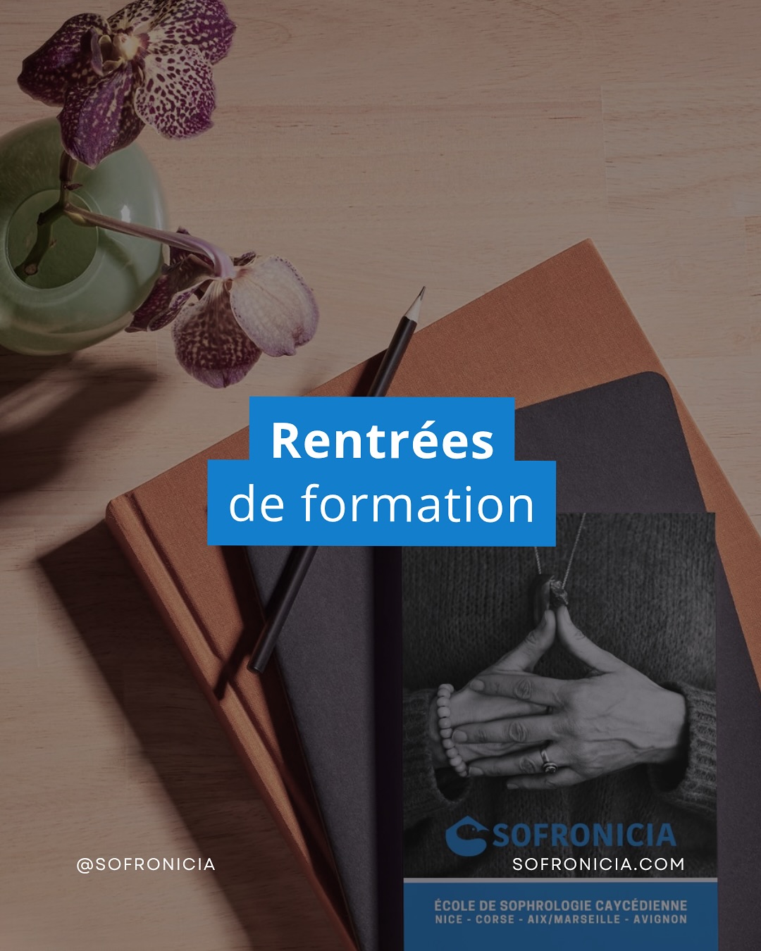 Prenez notes de nos nouvelles rentrées de formation pour devenir sophrologue, à Nice et à Aix-en-Provence !
🔶 Samedi 04 octobre : formule week-end à Nice
🔶 Samedi 04 octobre : formule week-end à Aix-en-Provence
Et si vous avez encore des questions, nous vous proposons des temps de rencontre :
🔶 Jeudi 07 août : Soirée d’informations - Devenir sophrologue à Aix-en-Provence - En visioconférence - 19h
🔶 Vendredi 08 août : Soirée portes ouvertes - Devenir sophrologue à Nice - Dans nos locaux à Saint-Laurent-du-Var - 19h
Informations et inscriptions :
📧 ecole@sofronicia.com
📞 06 84 70 51 29
🖥️ www.sofronicia.com
#sofronicia #formationsophrologie #sophrologienice #sophrologiecaycedienne #devenirsophrologue #devenirsophrologuenice #sophrologiepaca #sophro #formationsophrologue #sophrologie #sophrologue #devenirsophrologueaix #sophrologueaixenprovence
