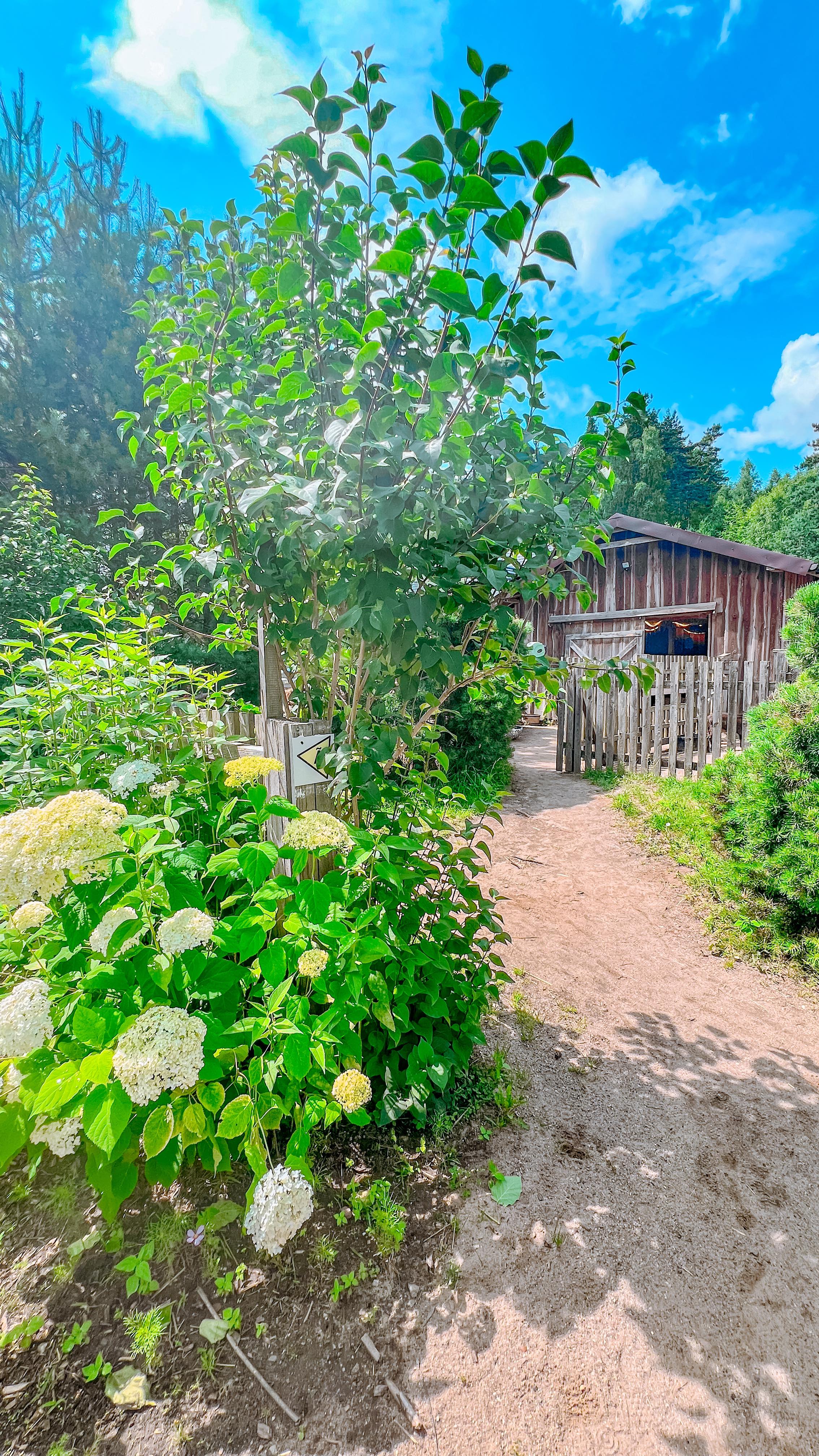 🌷Minigolf? Jasne! Ale to dopiero początek…
U nas możecie zagrać całą rodziną, a potem… odpocząć wśród kwiatów, zieleni i śpiewu ptaków.
Nasz ogród właśnie zakwitł i wygląda bajecznie – to idealne miejsce na chwilę spokoju po zabawie 🌿
➡️ czekamy na Was CODZIENNIE od 10:00 do 19:00
@minigolfkaszuby
📍ul. Górna 47, Zgorzałe (k. Stężycy) - to miejsce gdzie czas zwalnia!
#minigolf #minigolfkaszuby #atrakcjekaszuby #kaszuby #atrakcjedladzieci #gdzienaweekend #parkrozrywki #slowlife #slowmorning #rodzinnie #odpoczynekodcodzienności #justchill #atrakcjestezyca