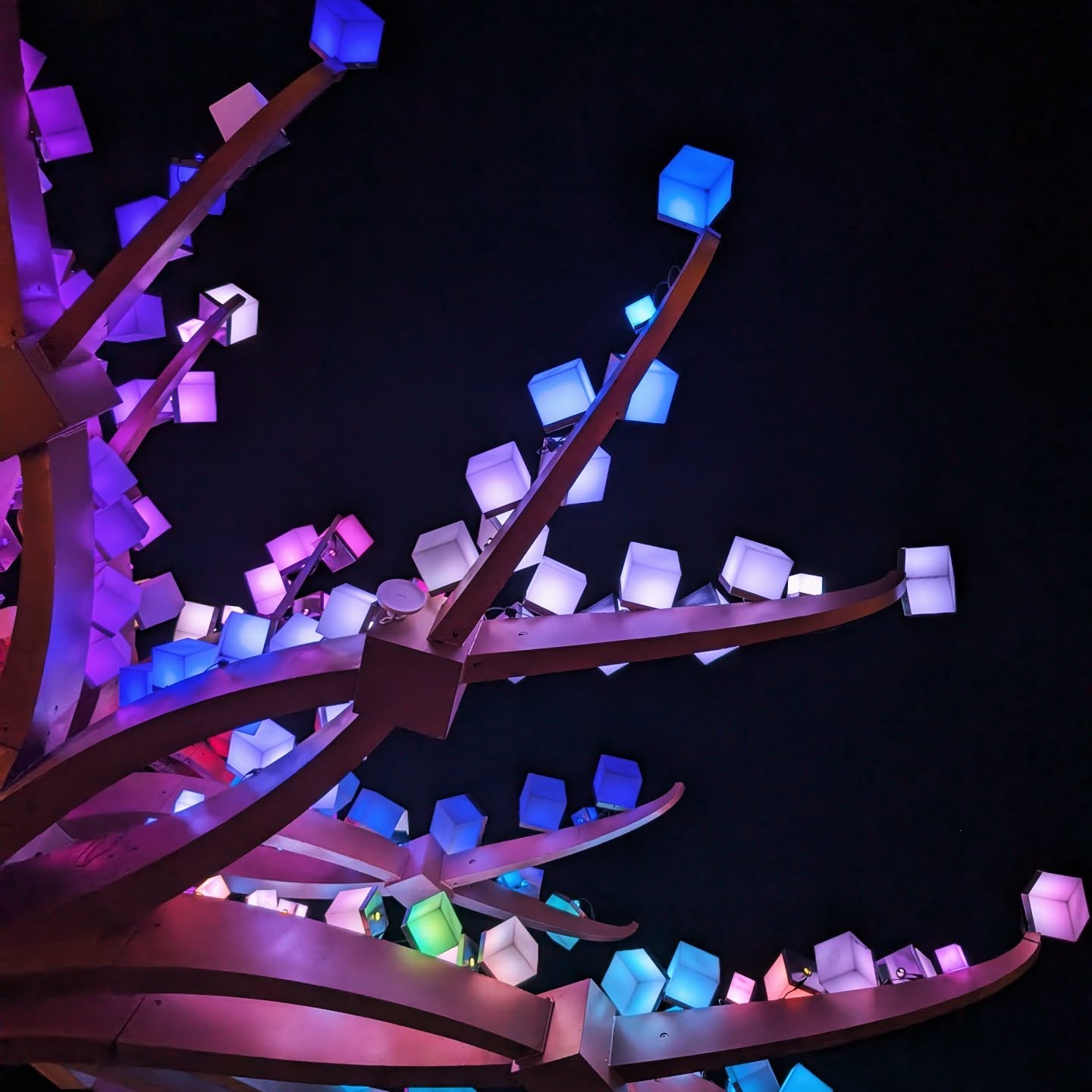 "You were once wild here. Don't let them tame you." - #IsadoraDuncan #quotes #thursdaythoughts #lights #lightshow #colors #zakunscripted