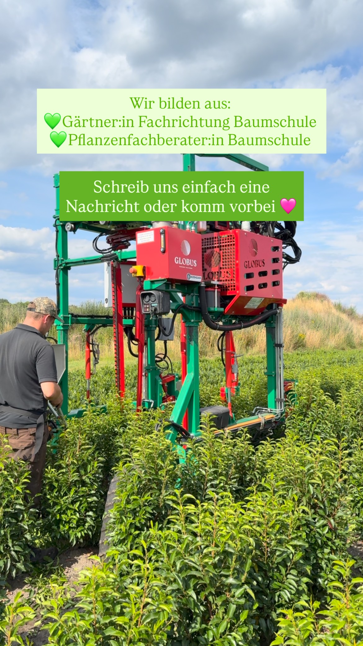 Wir bilden aus! 💚
Manchmal hört man Gärtner:in sein ist harte Arbeit. Wir versuchen die körperliche Belastung so gering wie möglich zuhalten. Durch viele verschiedene Maschinen, wie hier eine Maschine von @ezendamgroep die ohne menschliche Steuerung mithilfe von Sensoren fährt und unsere Heckenpflanzen schneidet, treffen wir den Nerv der Zeit und arbeiten effizient und körperschonend.
Gärtner:in sein hat noch viele weitere schöne Seiten, schreib uns oder komm vorbei und mache dir einen Eindruck.
Seit diesem Jahr bilden wir auch Pflanzenfachberater:innen aus. Also weniger Produktionsarbeit und mehr Verkauf 🩷
Folg rein für mehr Content 🫶🏻
#baumschule #baumschulenterbrack #gärtner #gärtnerin #ausbildung #grünerberuf #boomkwekerij #gärtnerei #pflanzen #pflanzenliebe #technology #technik #viral #baumschulgärtner #pflanzenfachberater